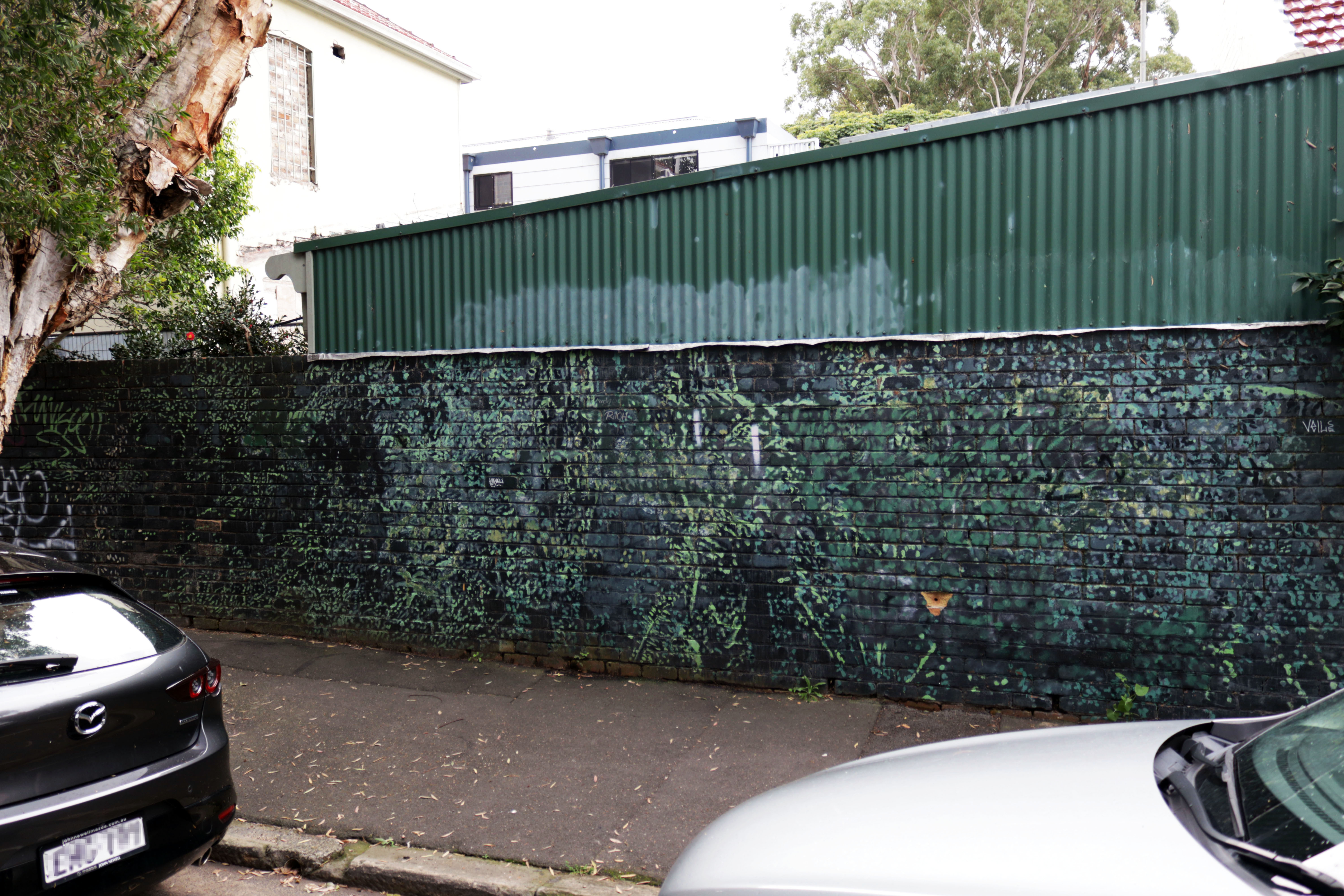 Untitled | Street Art NSW