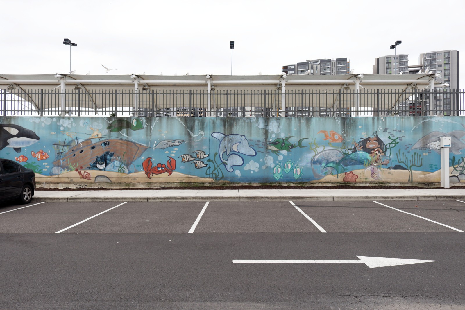 Untitled by Mistery | Street Art NSW