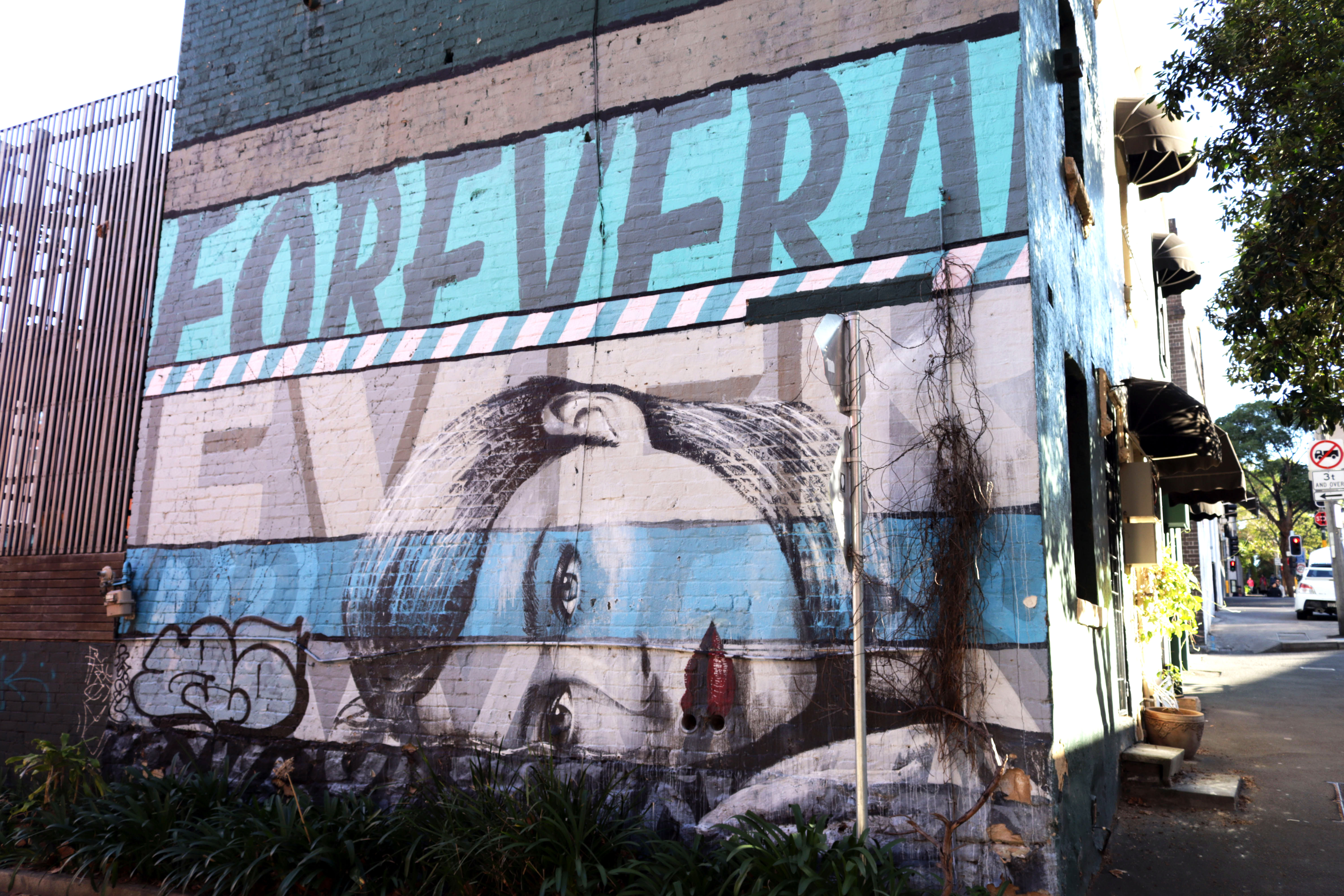 Forever and Ever Dreamer by Funskull | Street Art NSW