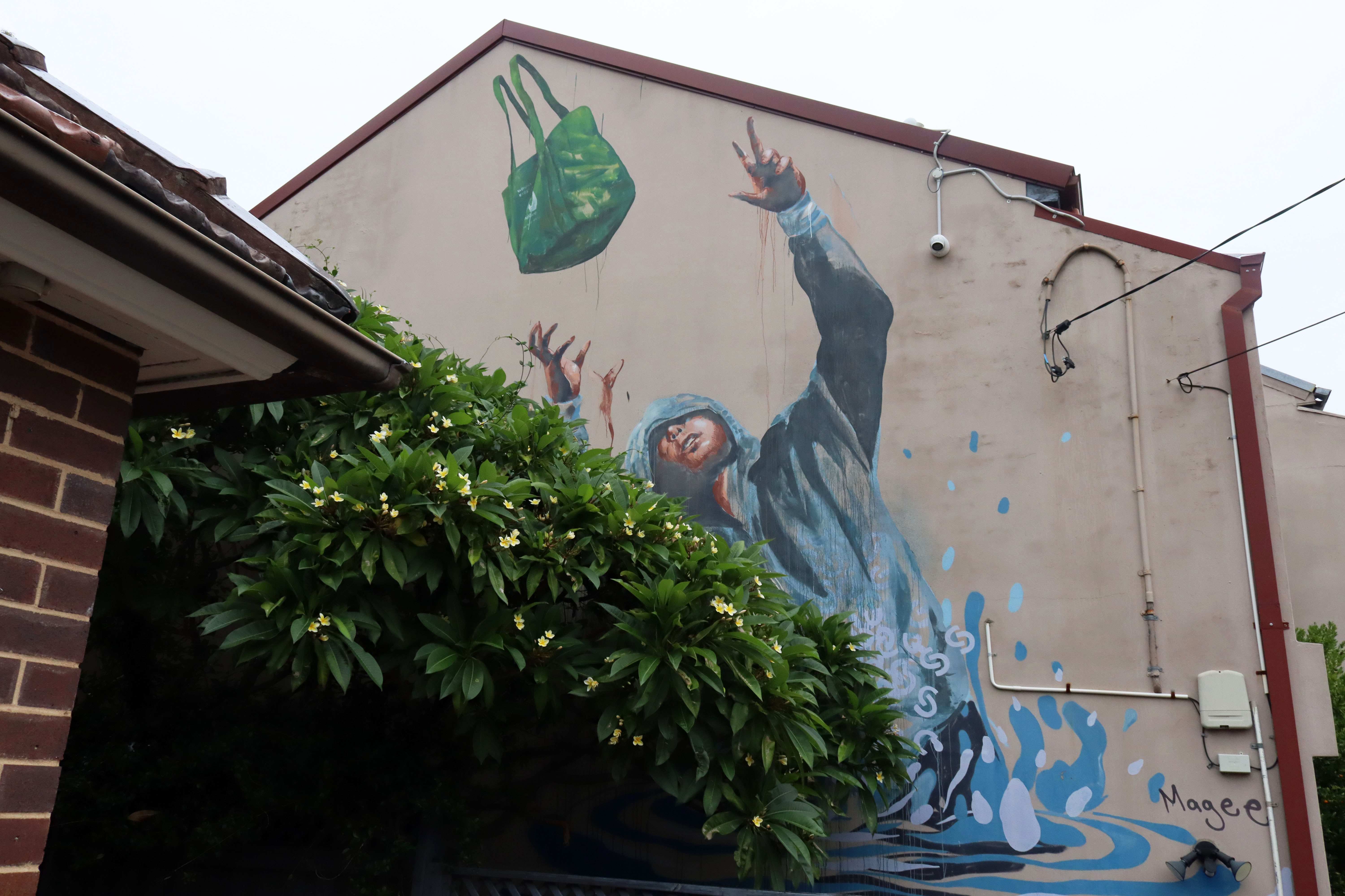 Flood Emergency Supply Drop by Fintan Magee | Street Art NSW
