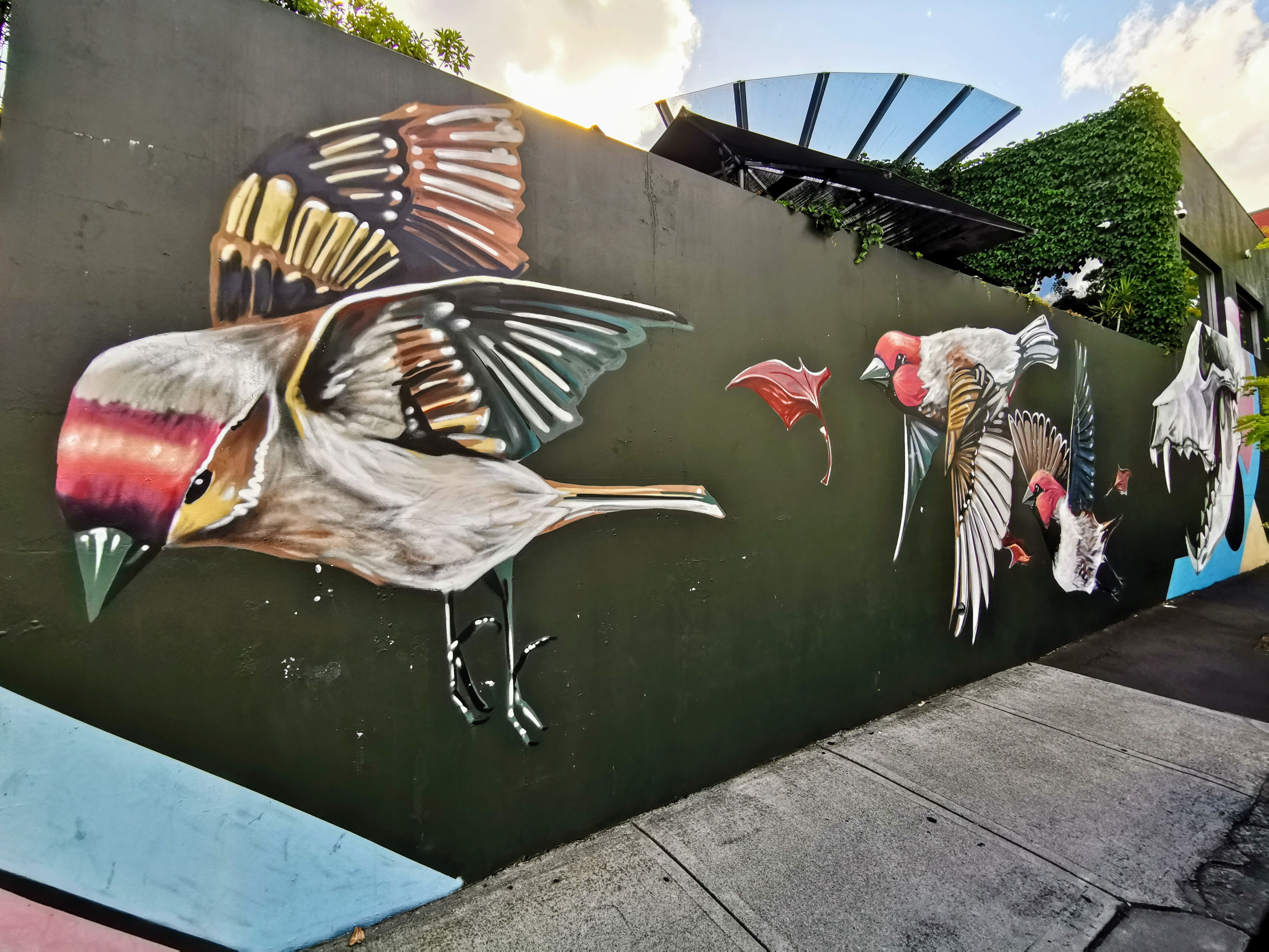 Predators Folly by Apeseven | Street Art NSW