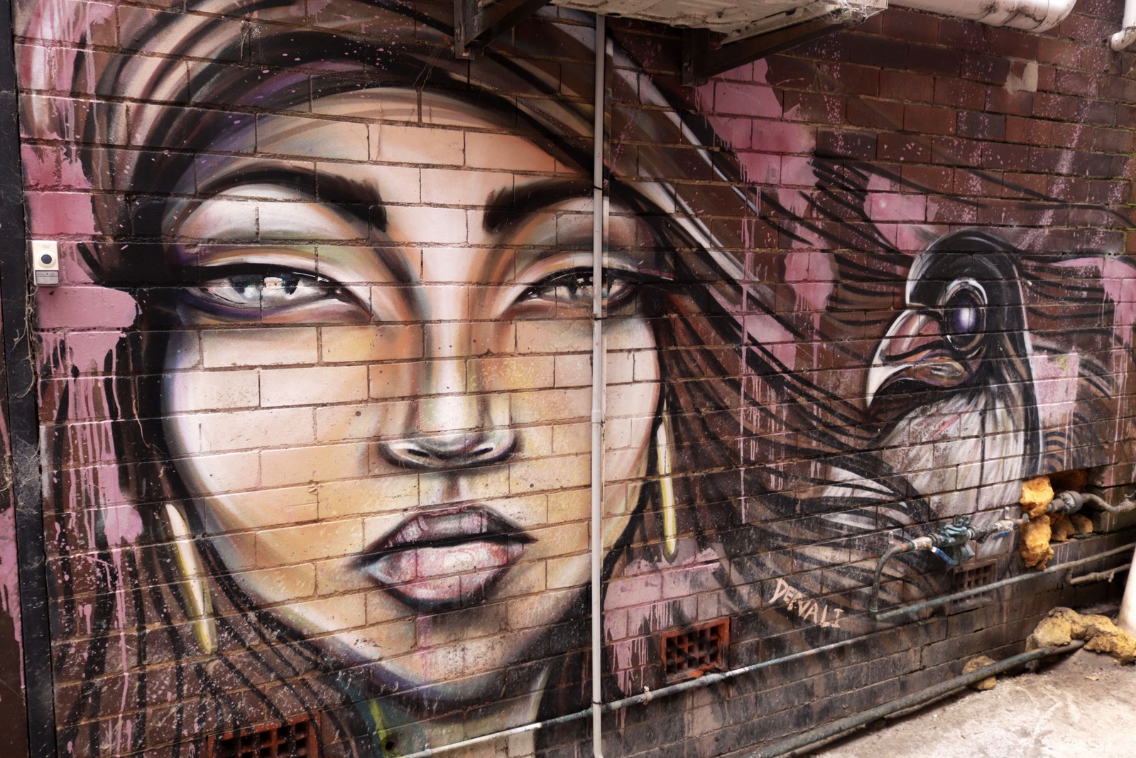 Untitled by Denali | Street Art NSW