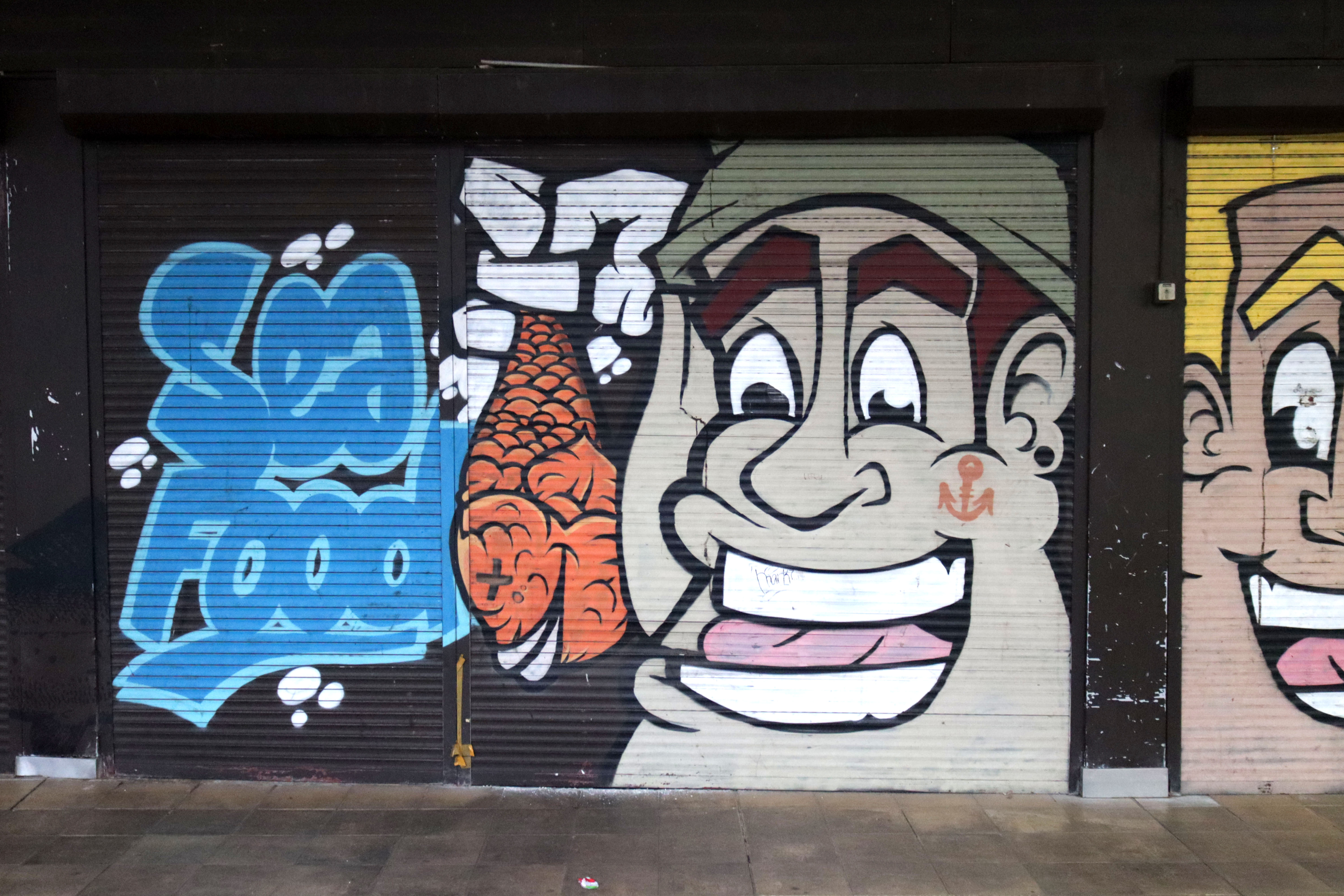 Fisher and Butcher by Spice | Street Art NSW