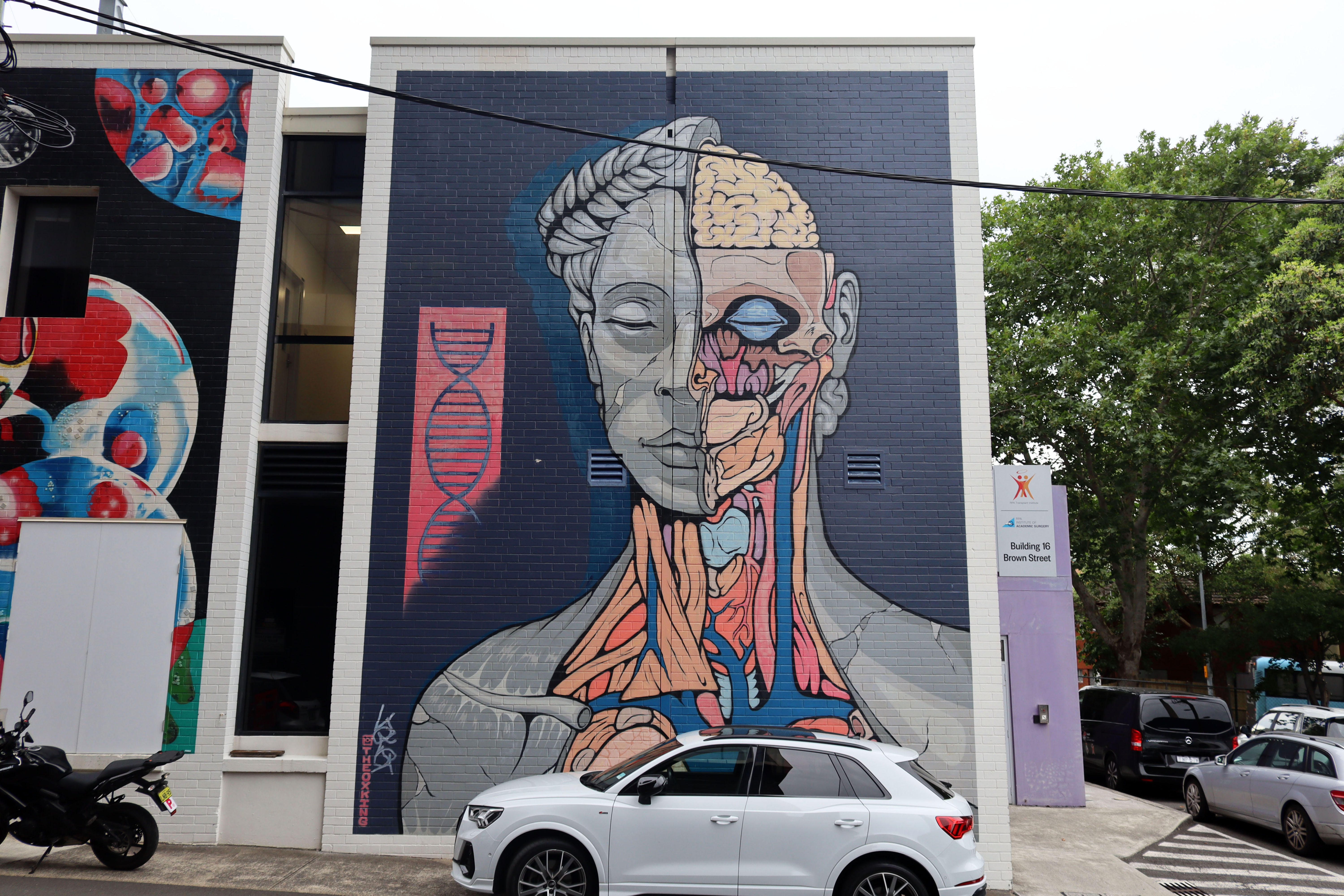 Human Form by The OX King | Street Art NSW