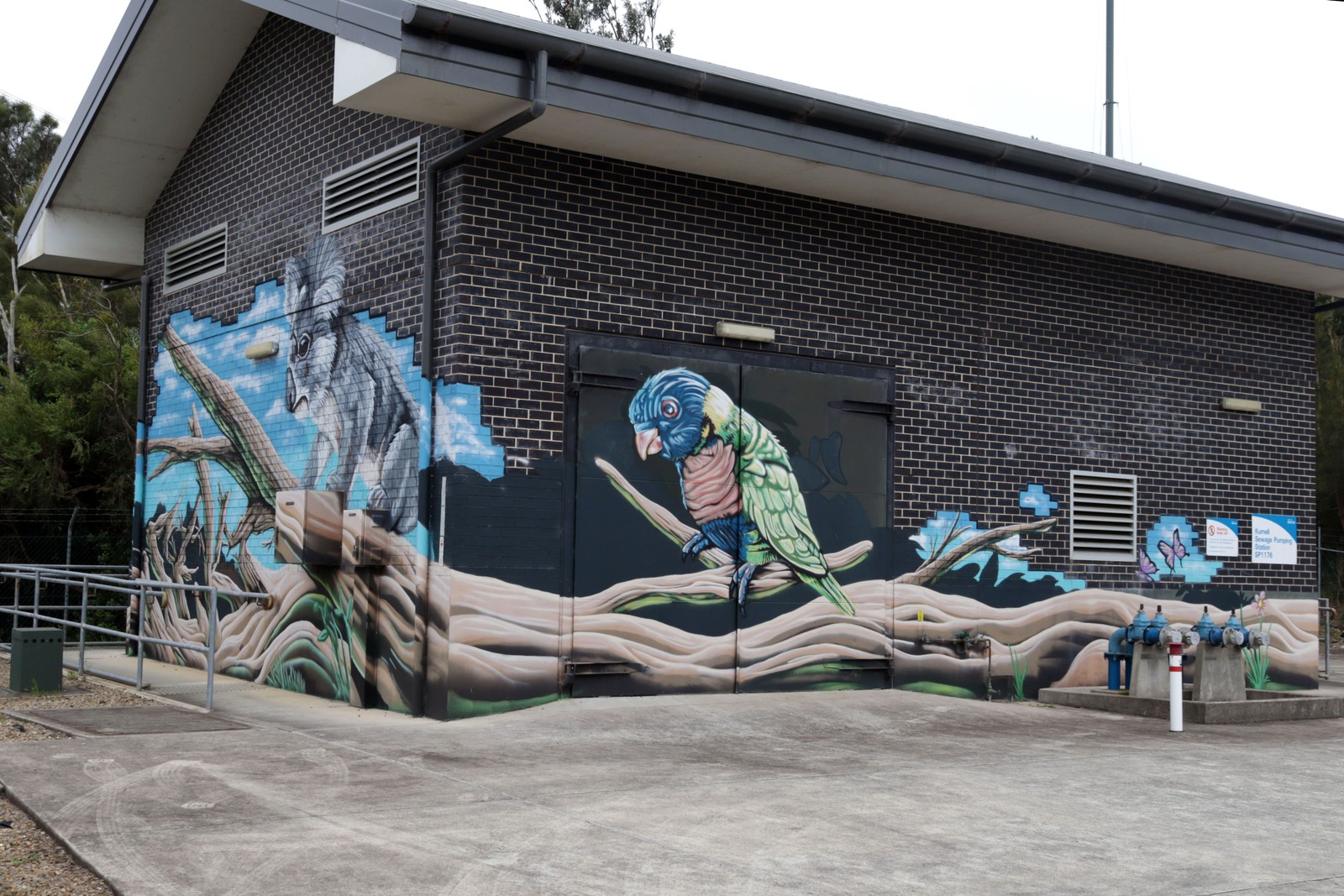 Untitled by Sekt Compton | Street Art NSW