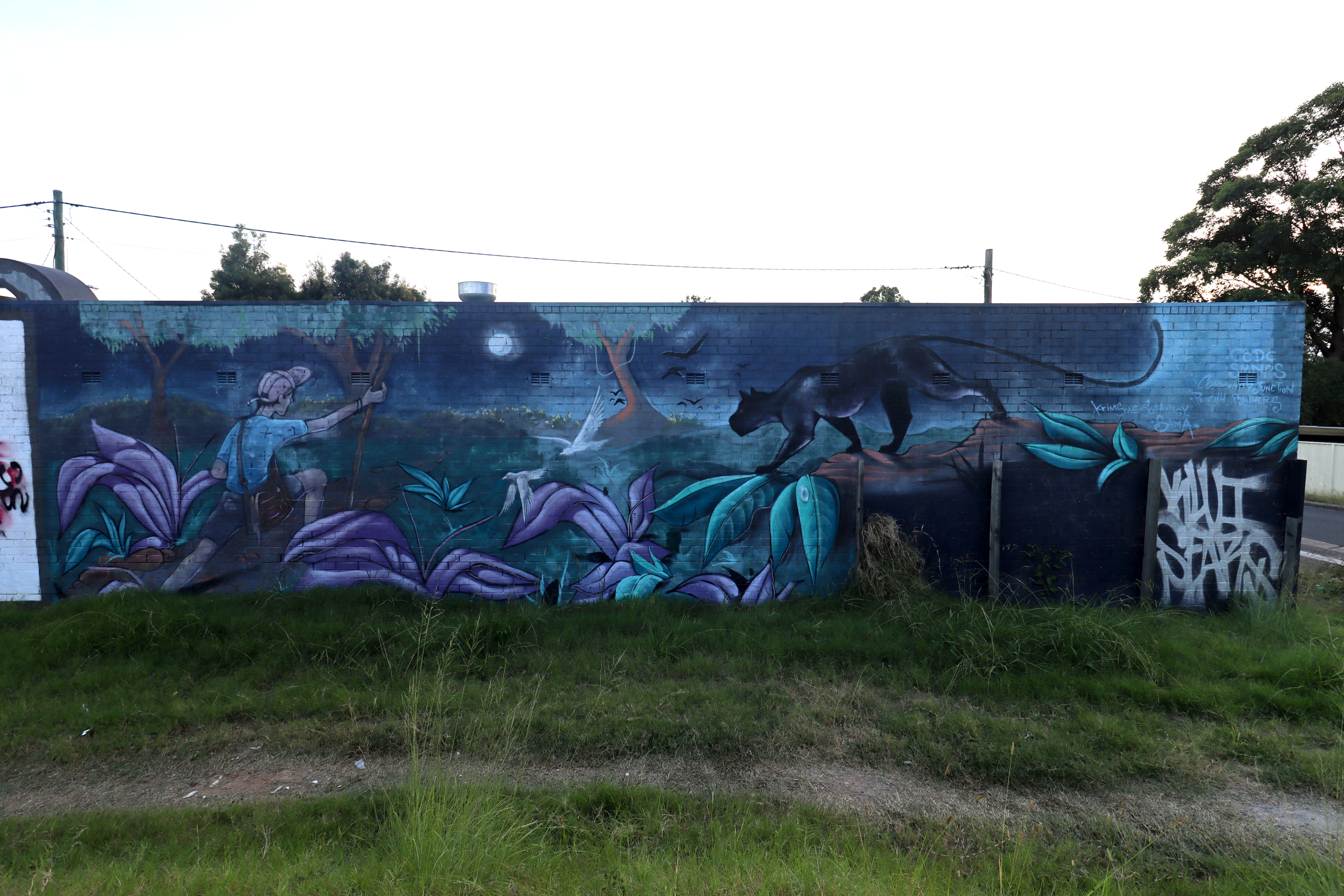 Panther by Scott Nagy | Street Art NSW