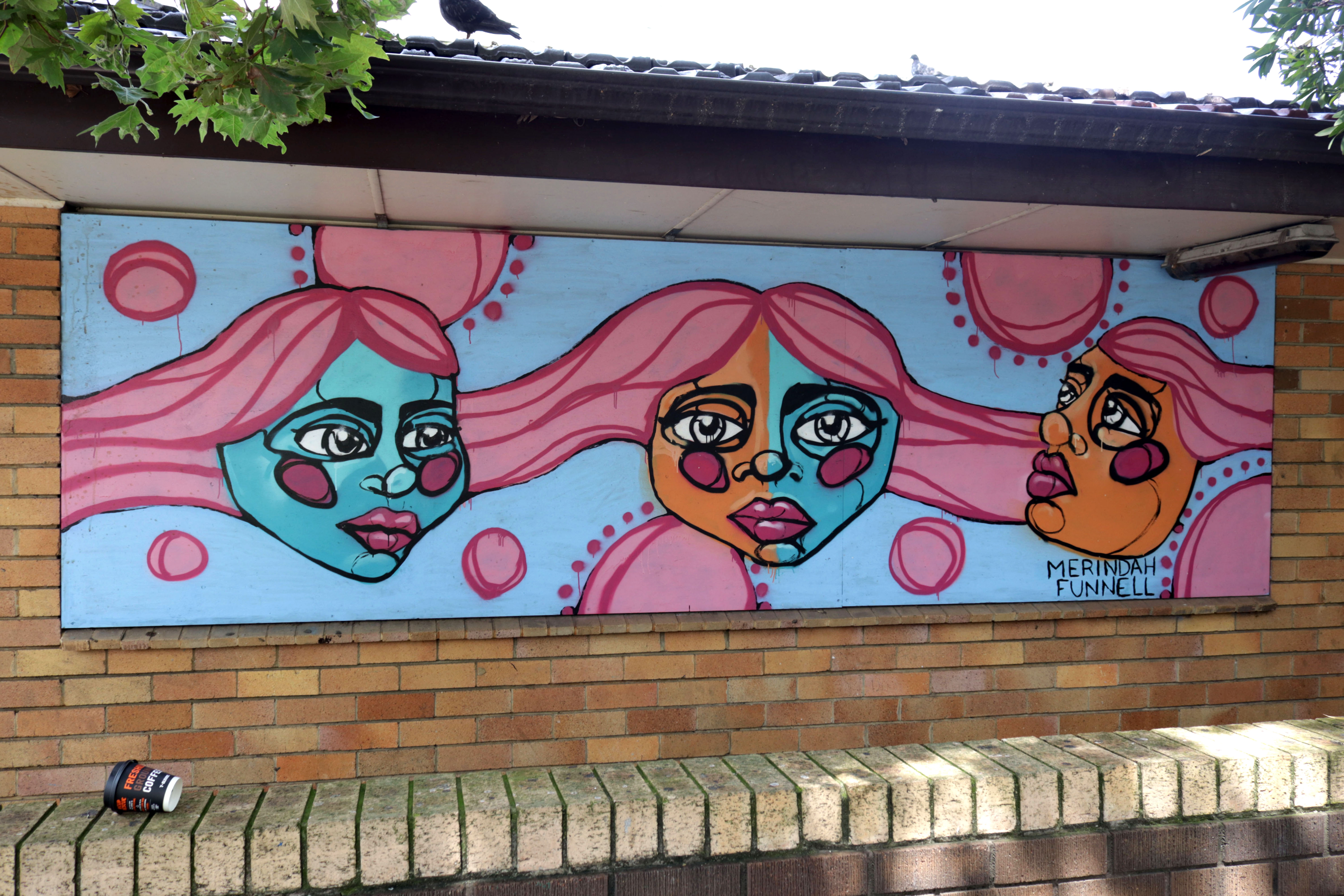 Untitled by Merindah Funnell | Street Art NSW