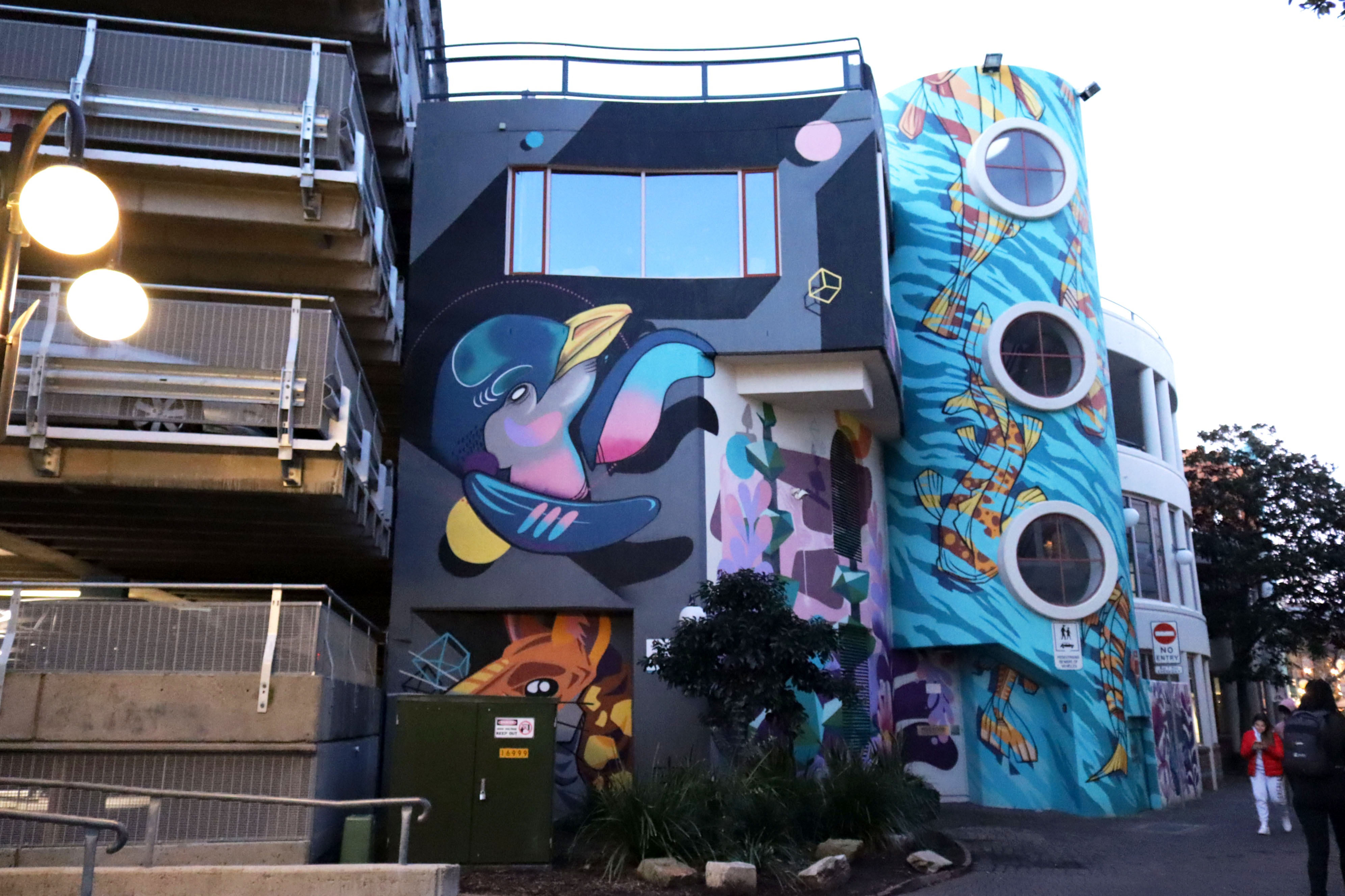 Just a Glimpse by M-lon | Street Art NSW