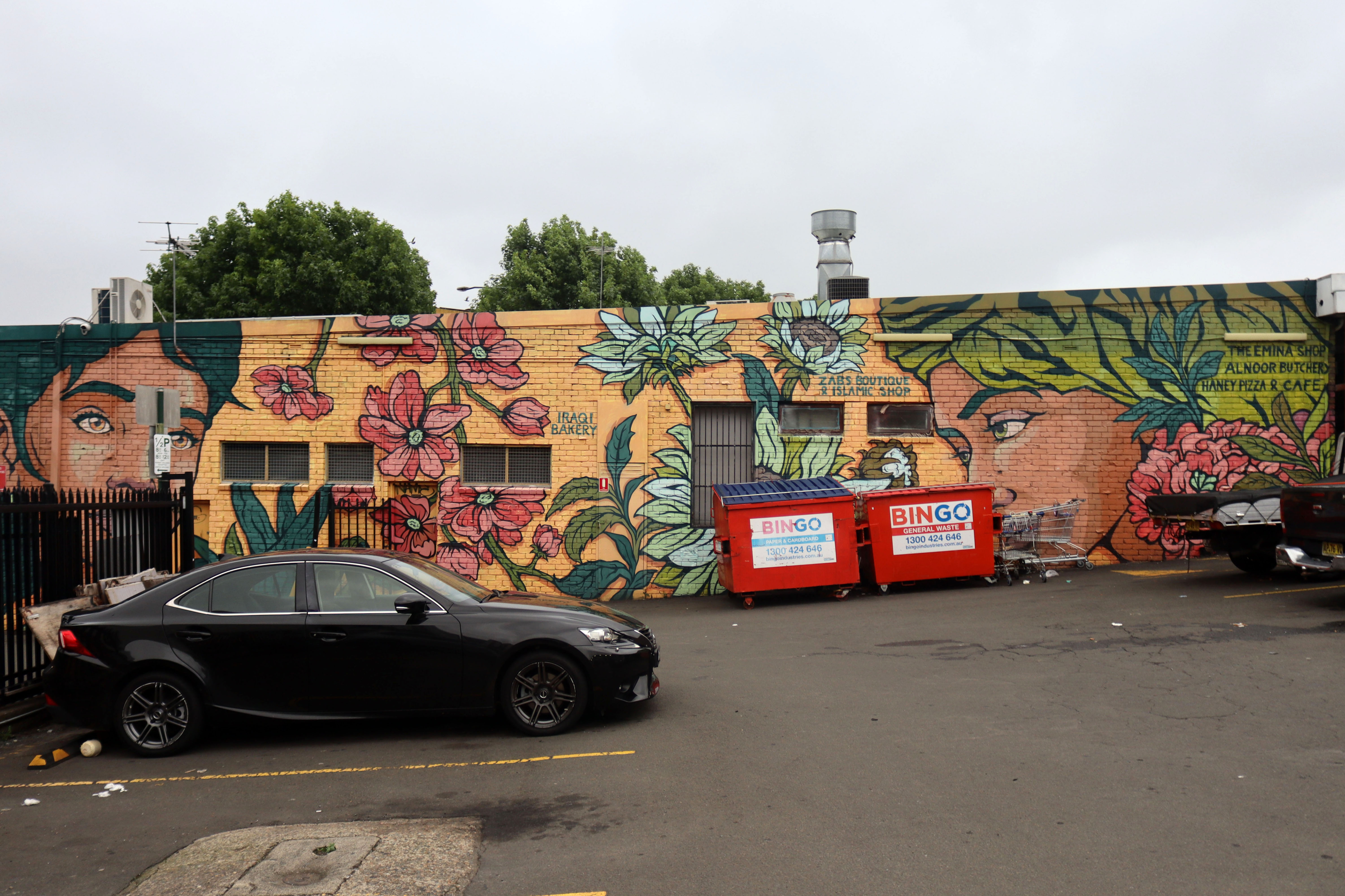 Eat Your Heart Out by The OX King | Street Art NSW