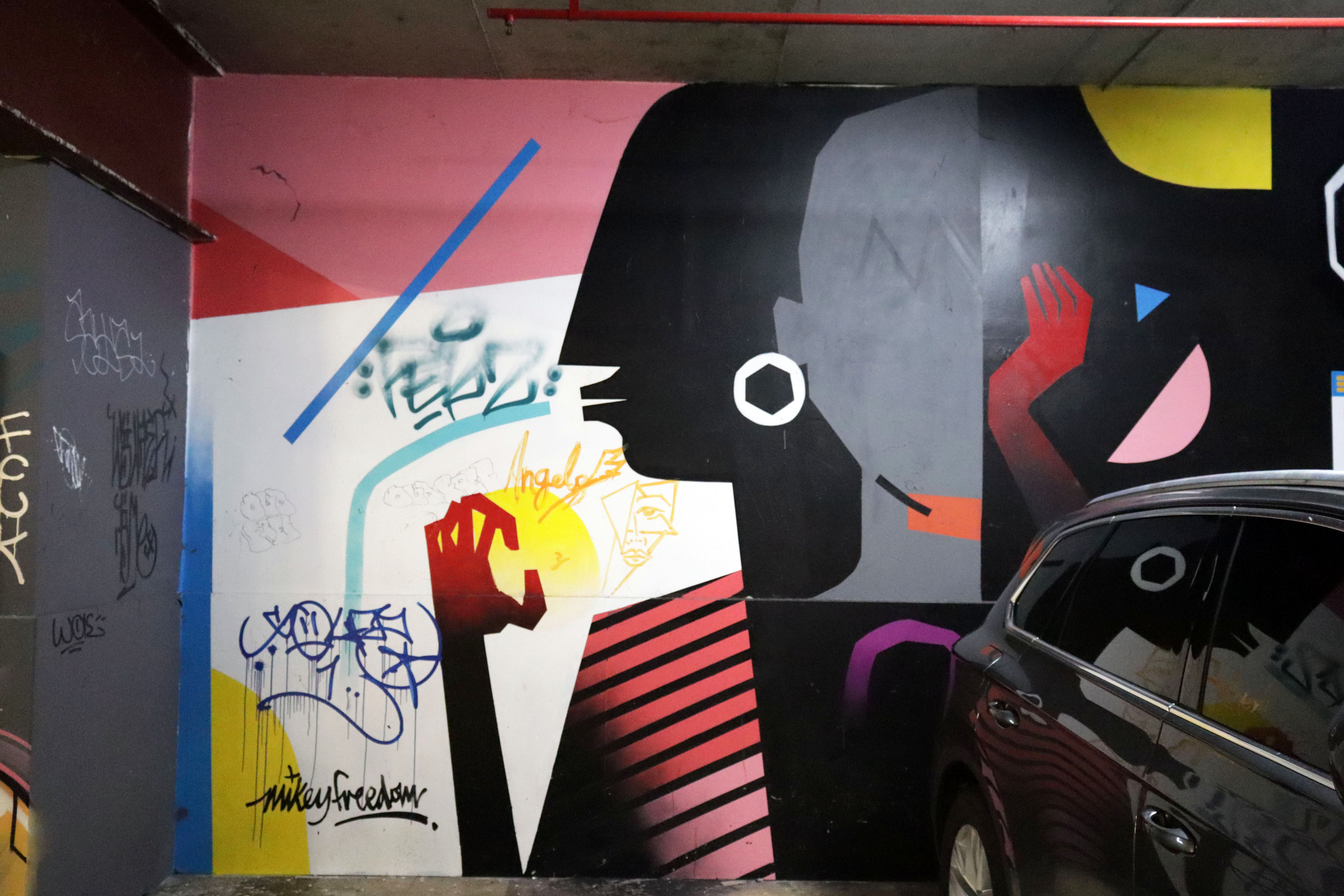 Untitled by Mikey Freedom | Street Art NSW