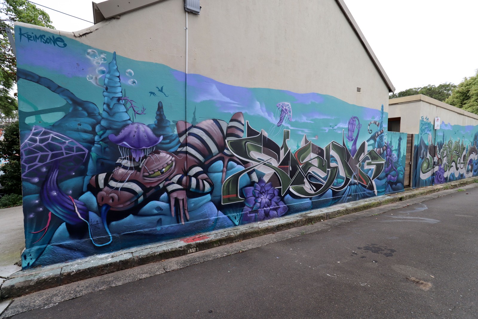 Cold Blooded, Jellyfish Wearer by Krimsone | Street Art NSW