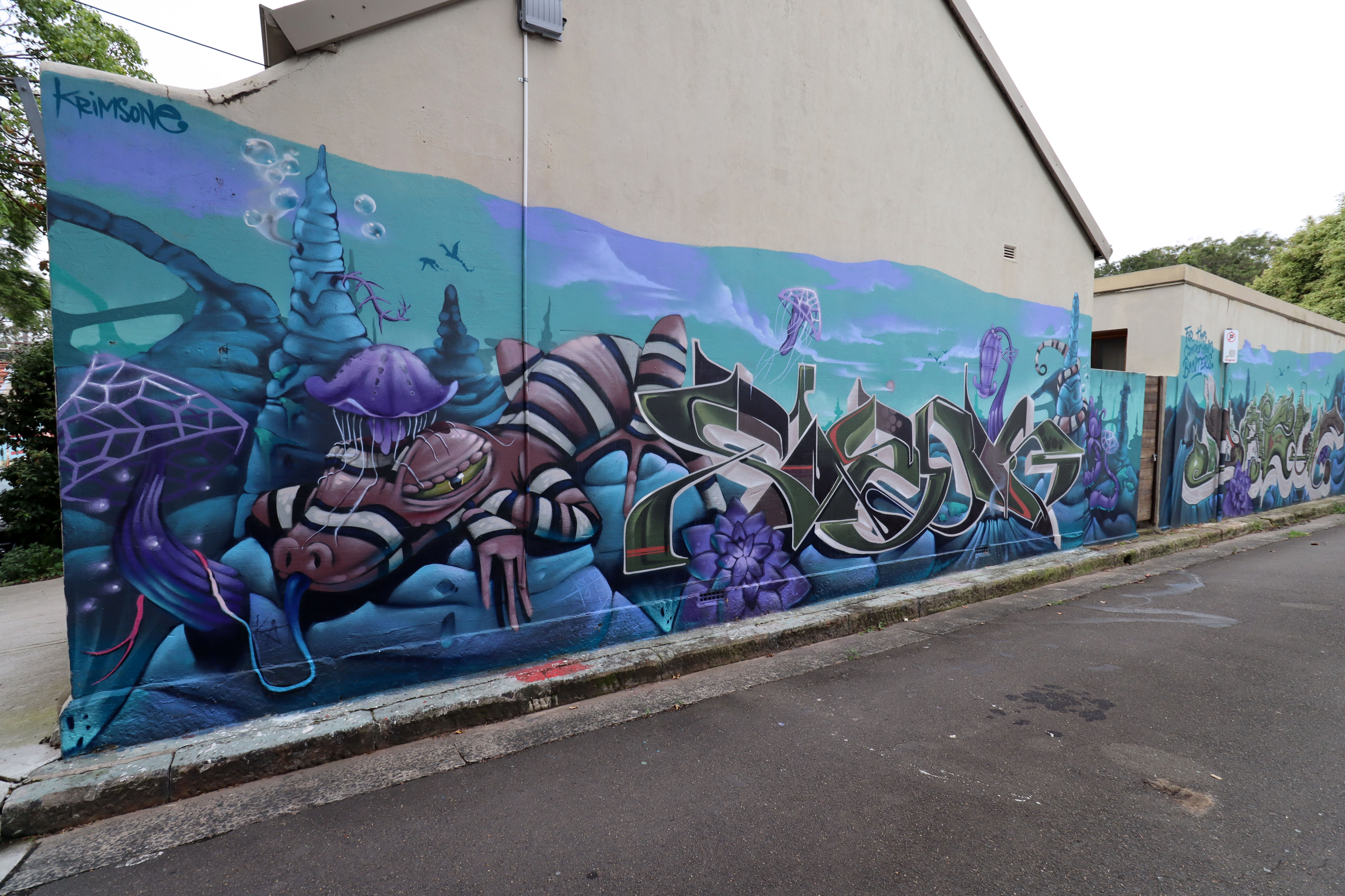 Cold Blooded, Jellyfish Wearer by Krimsone | Street Art NSW