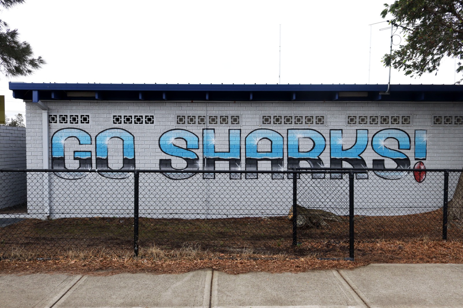 Go Sharks! by Born Ready Art | Street Art NSW