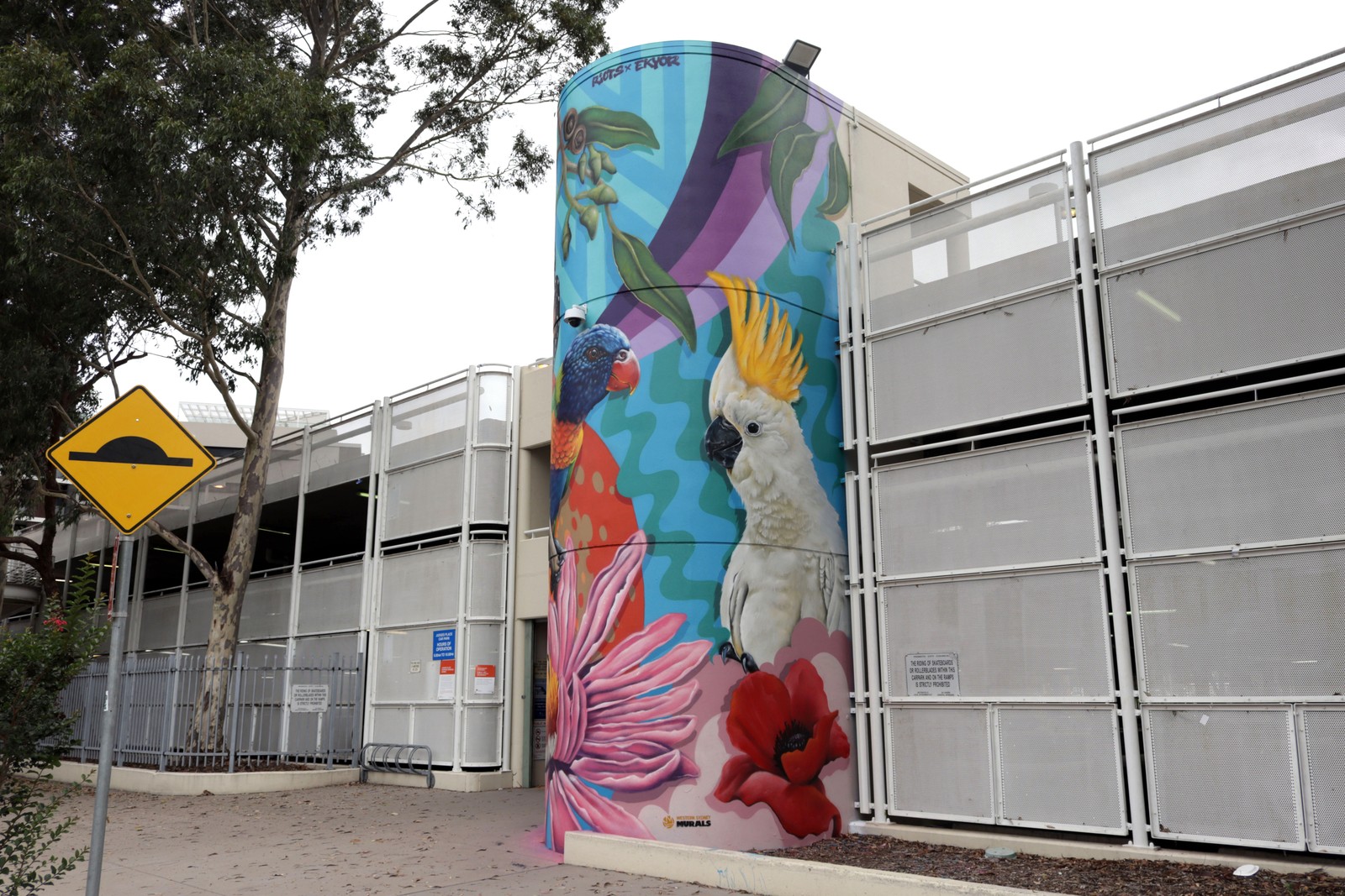 In This Together by Riots One | Street Art NSW
