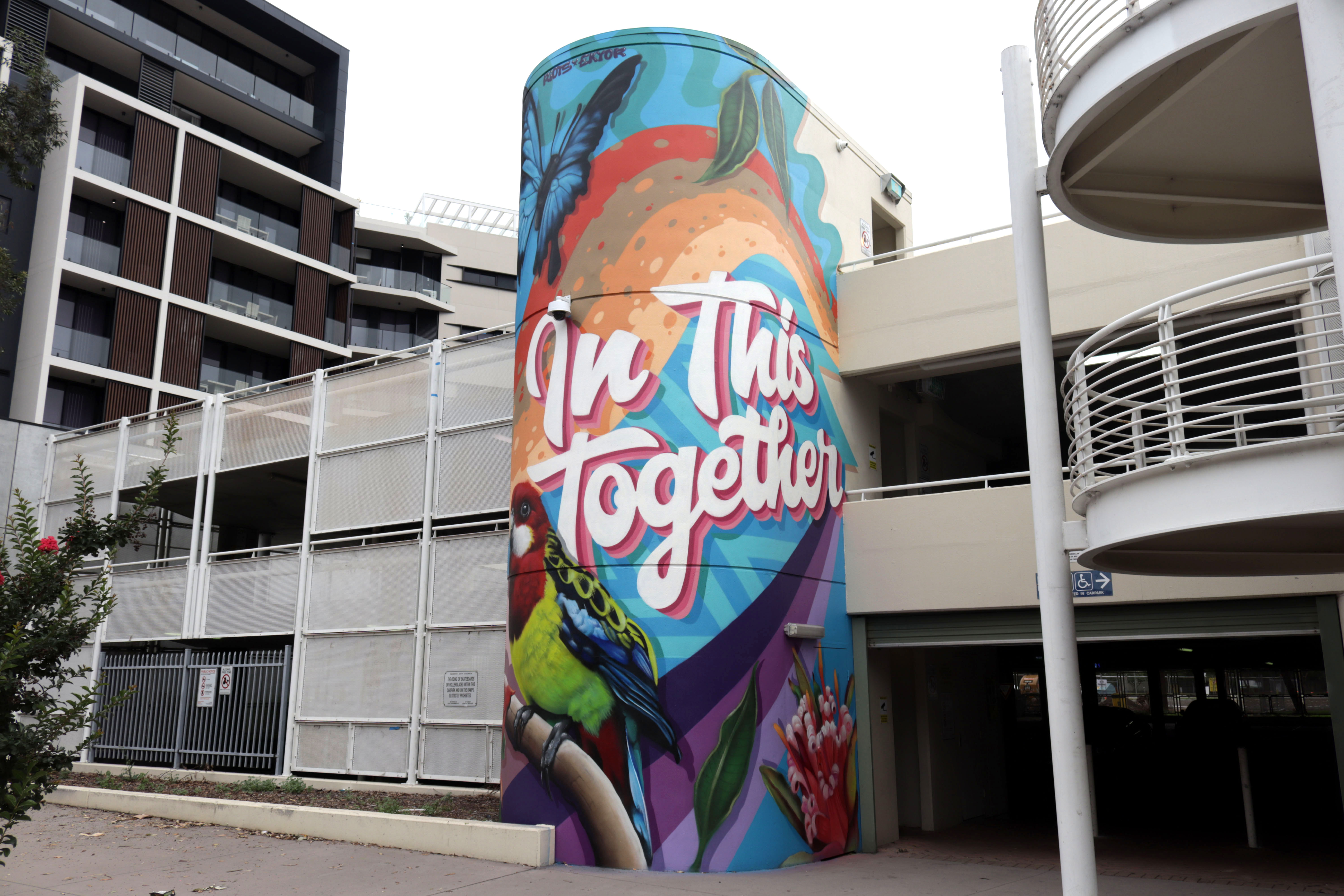 In This Together by Riots One | Street Art NSW