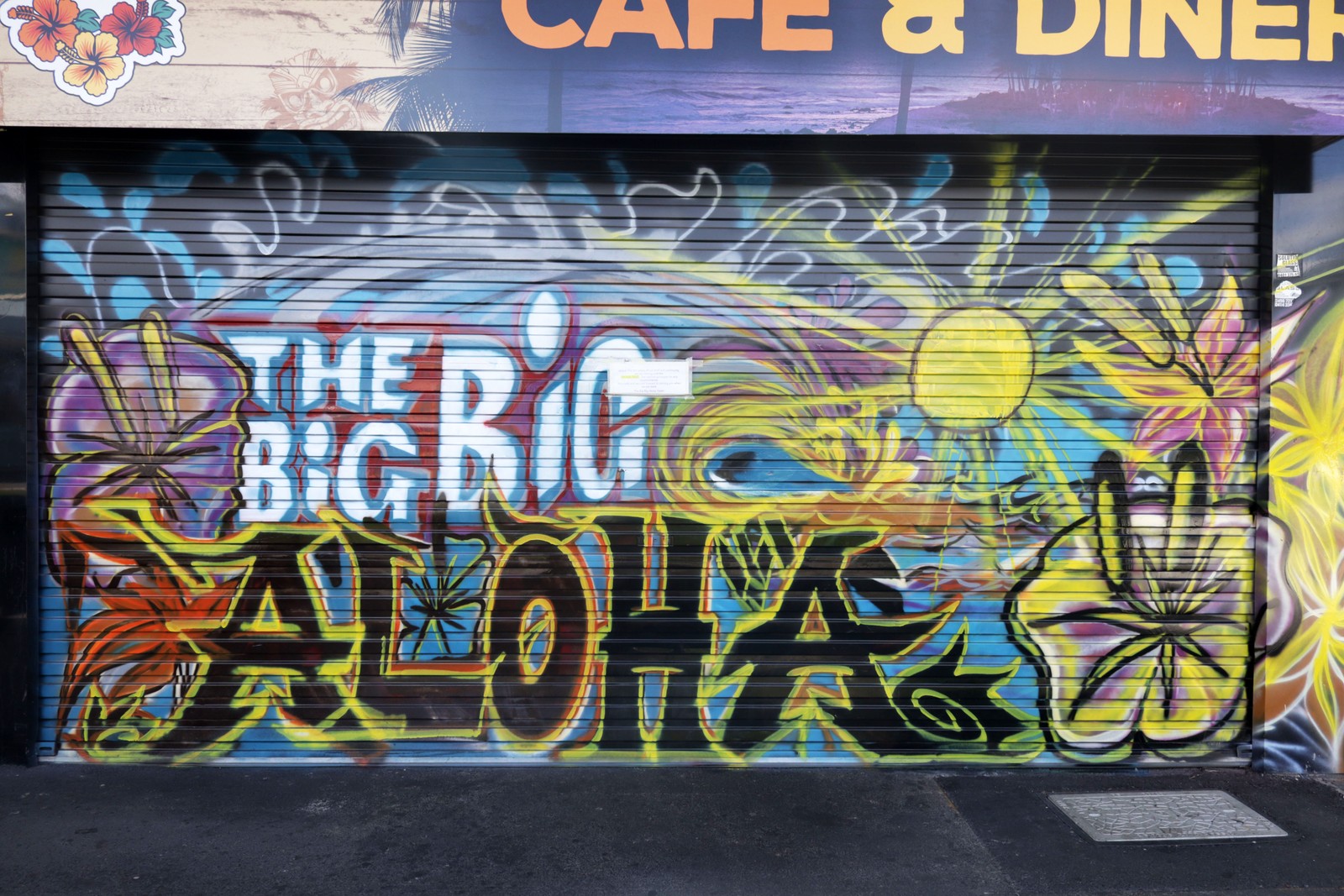 The Big Big Aloha | Street Art NSW