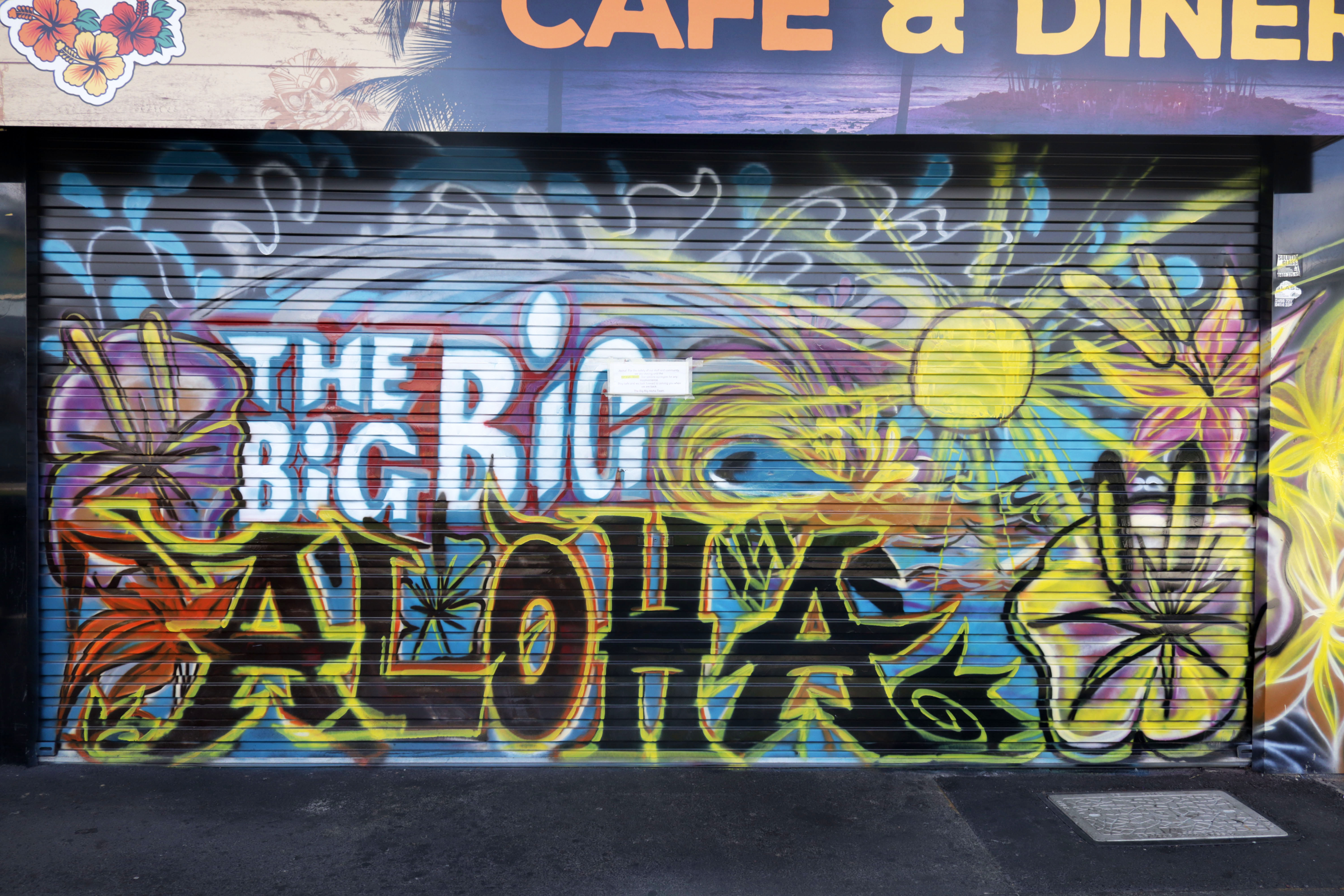 The Big Big Aloha | Street Art NSW