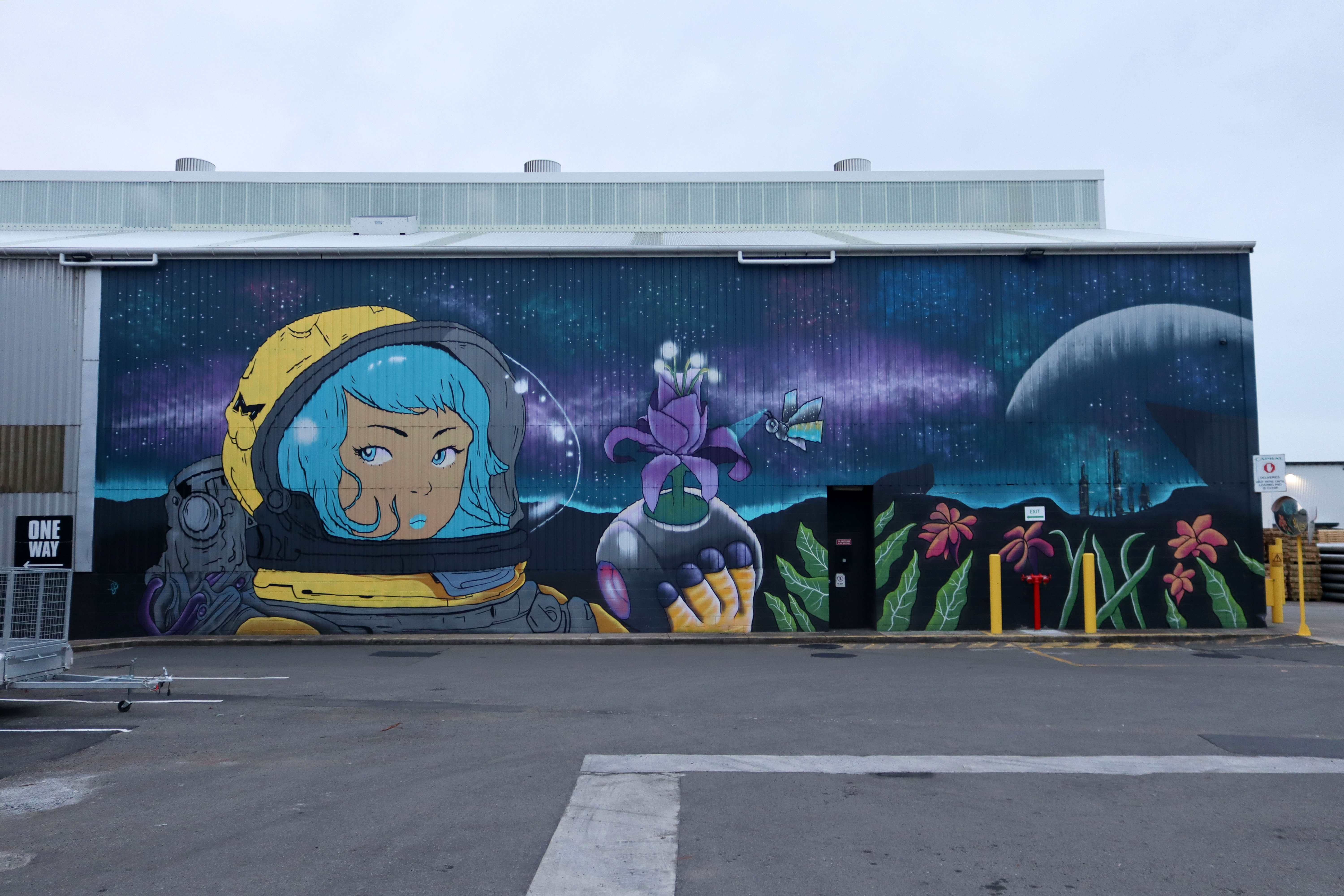 Untitled by Shannon Boyd | Street Art NSW
