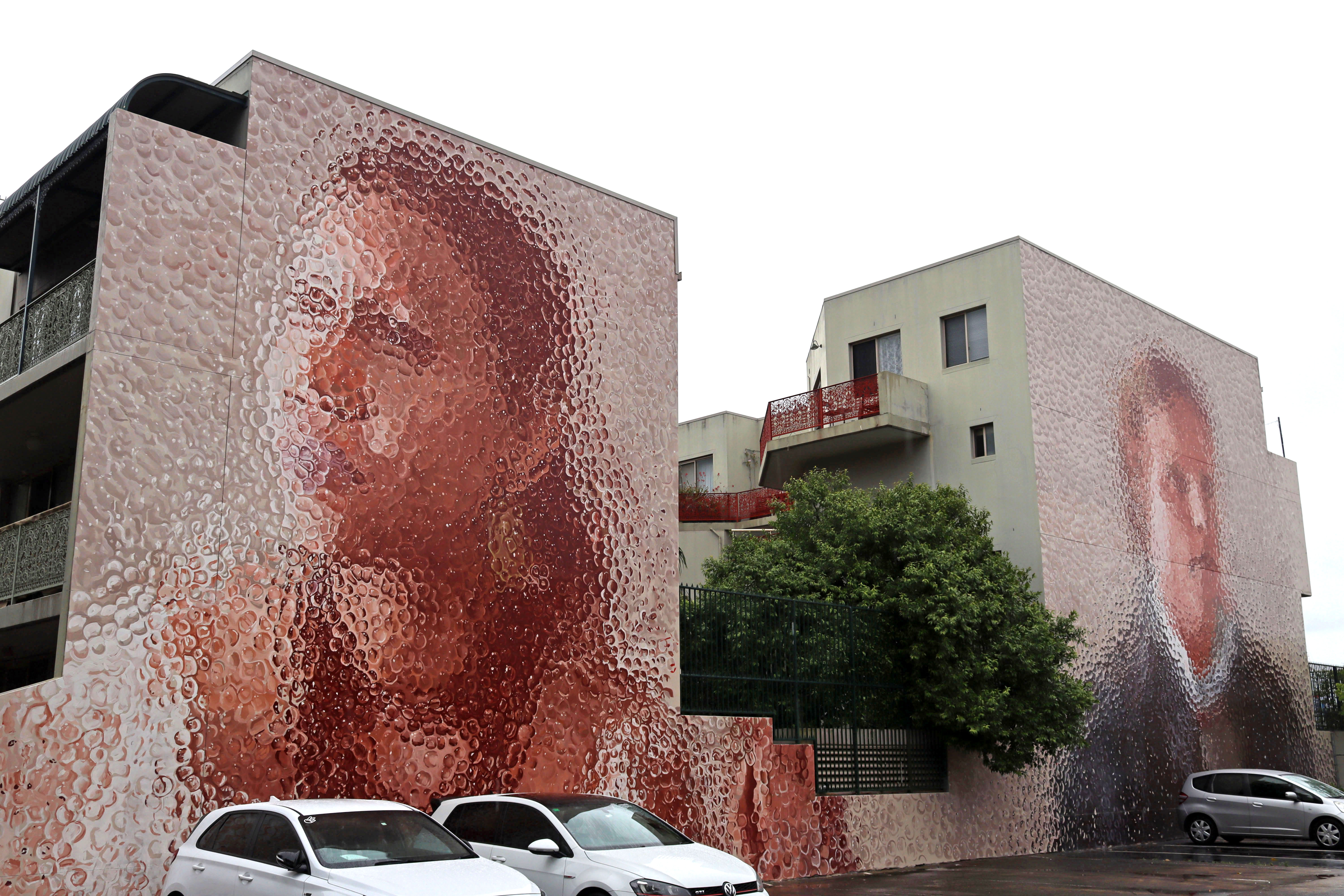 Lost Figures/Portraits of Patyegarang and William Dawes by Fintan Magee | Street Art NSW
