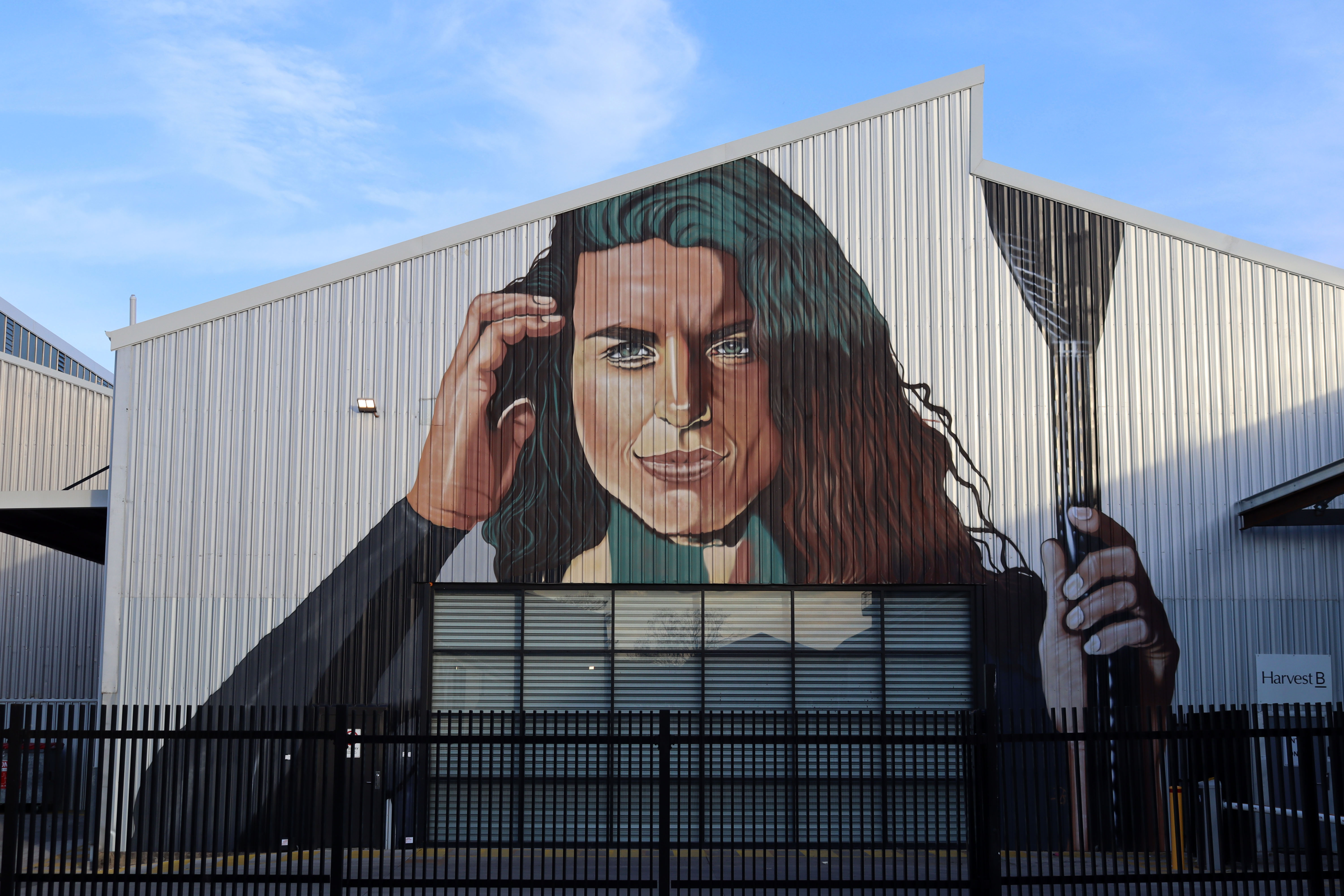 Jessica Fox by Shannon Boyd | Street Art NSW
