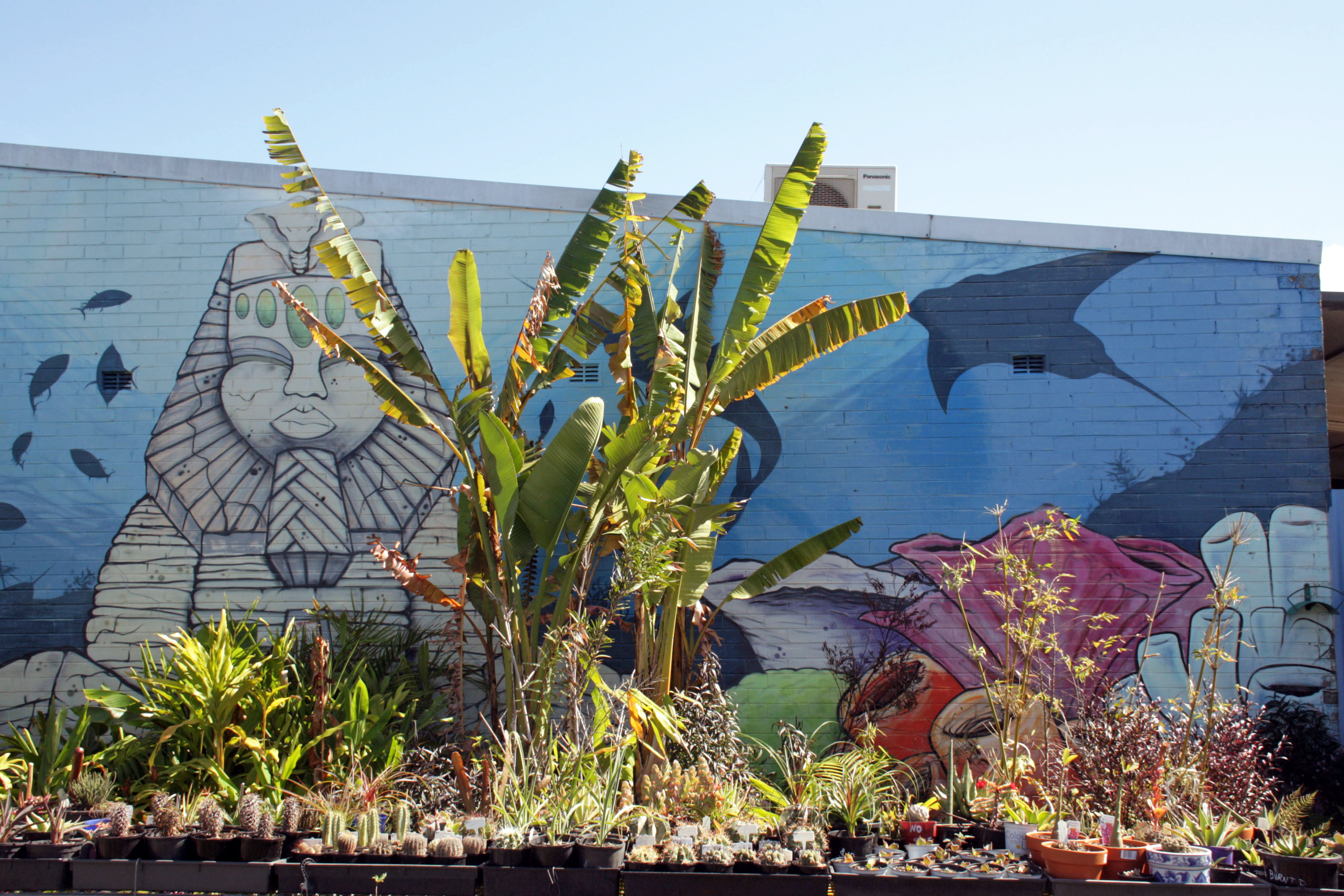 Untitled by Peque | Street Art NSW