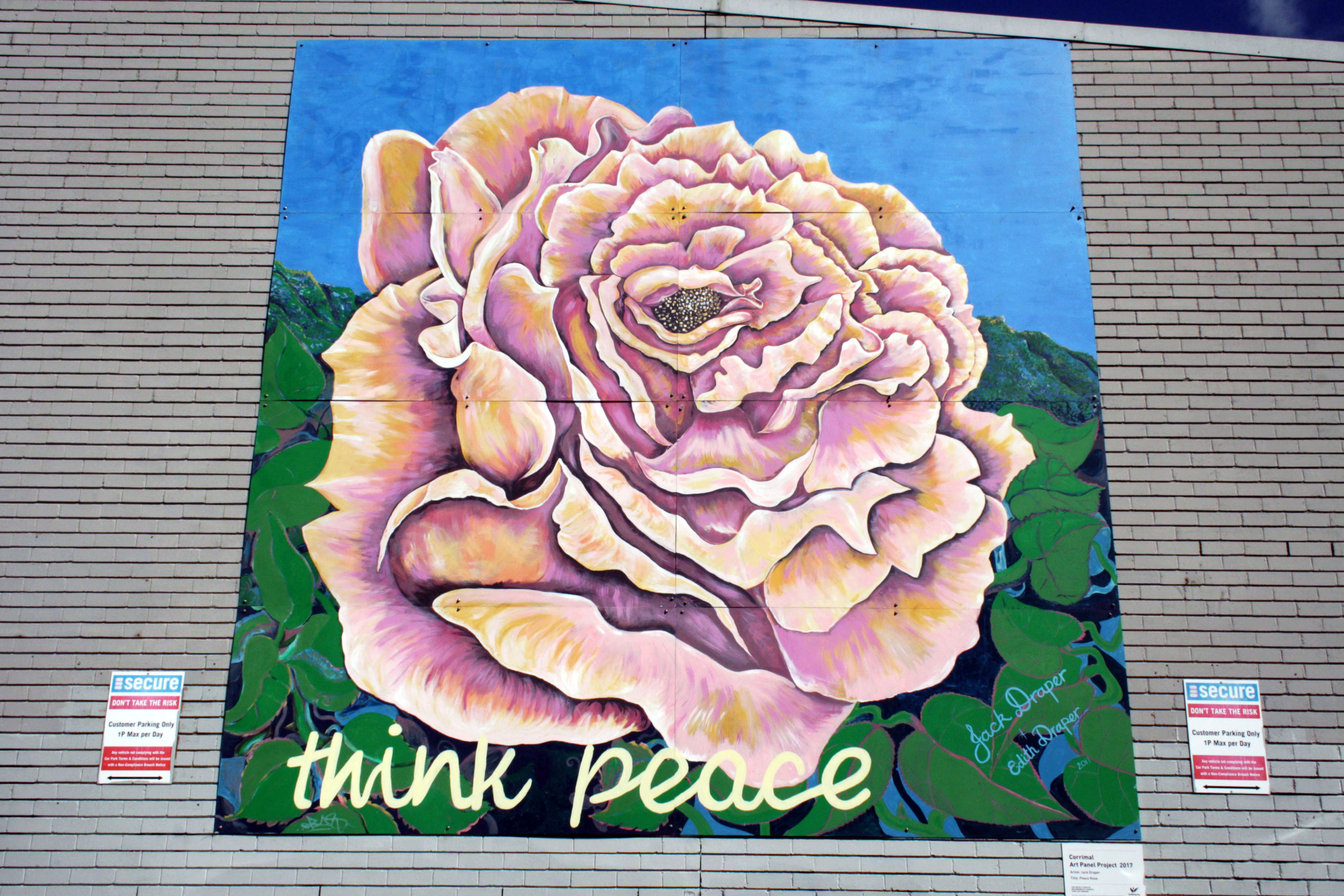 Peace Rose