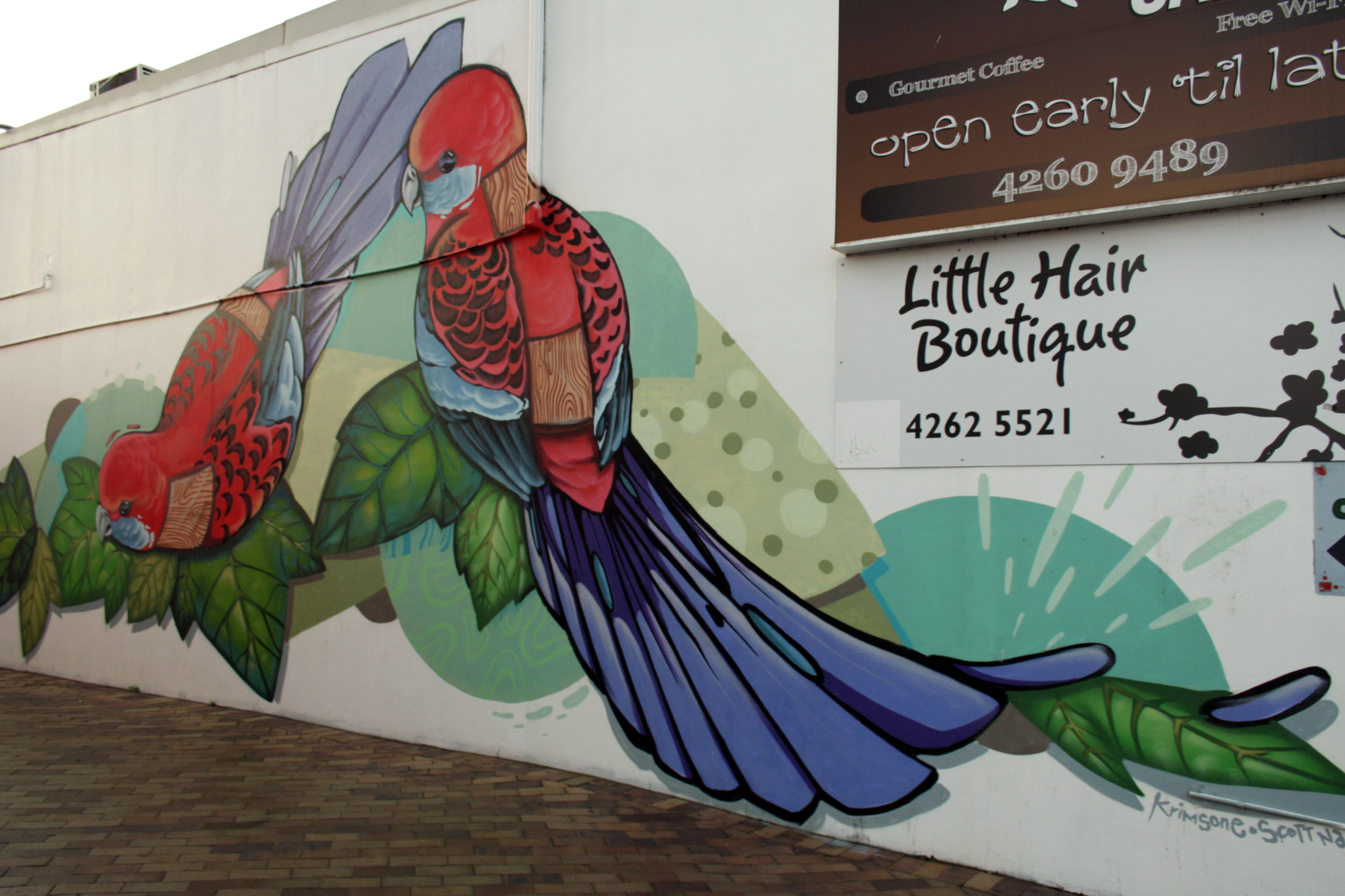 Two Crimson Rosellas by Scott Nagy | Street Art NSW