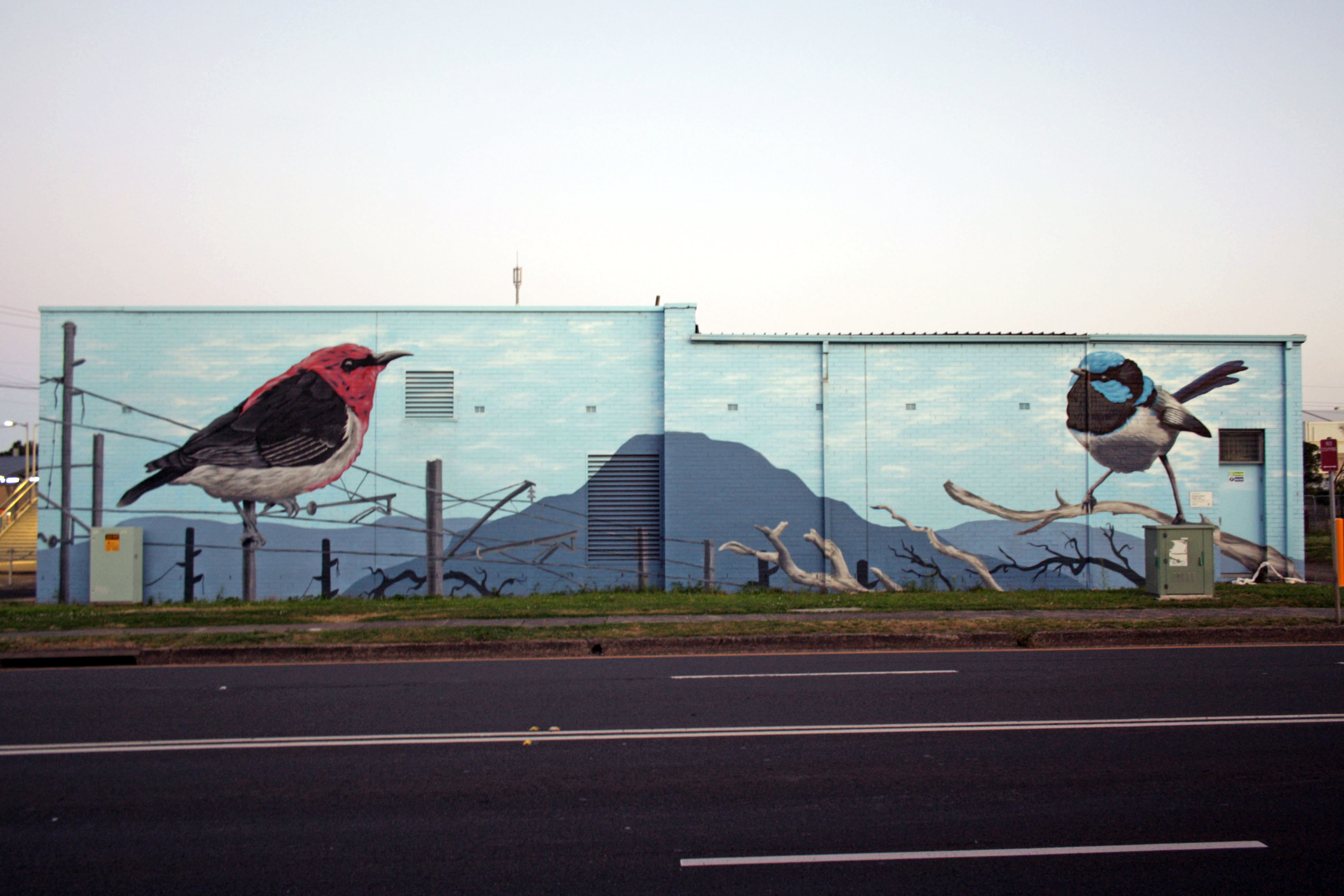 Dead Trees and Live Wires by Trait | Street Art NSW