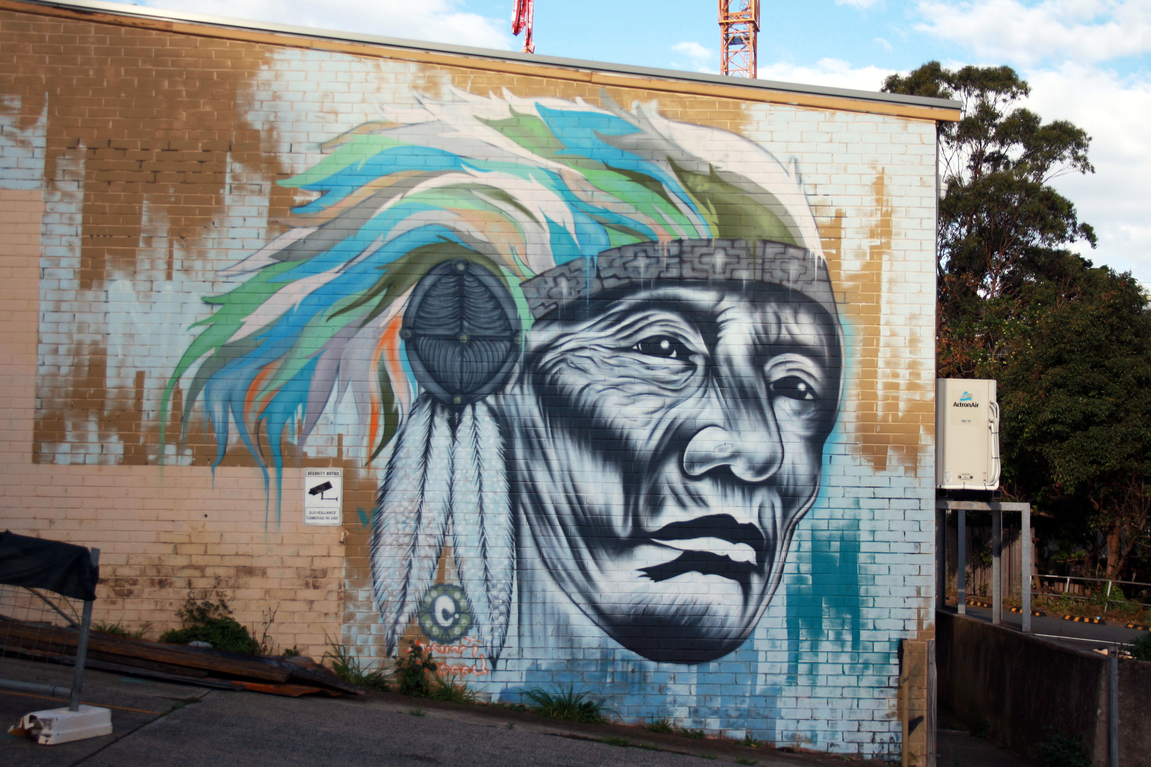 The Indian by Mr Fresh | Street Art NSW