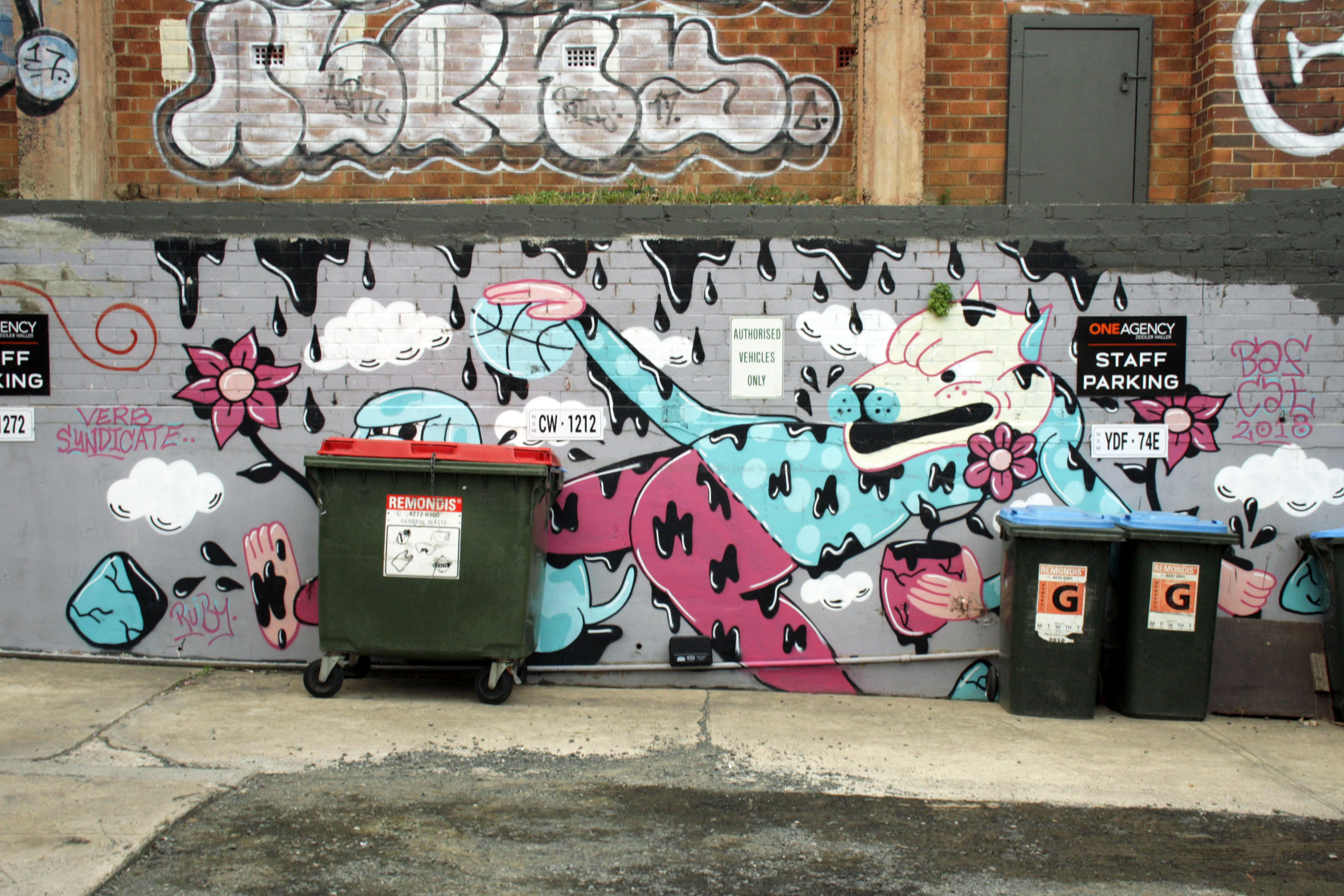 Untitled by bafcat | Street Art NSW