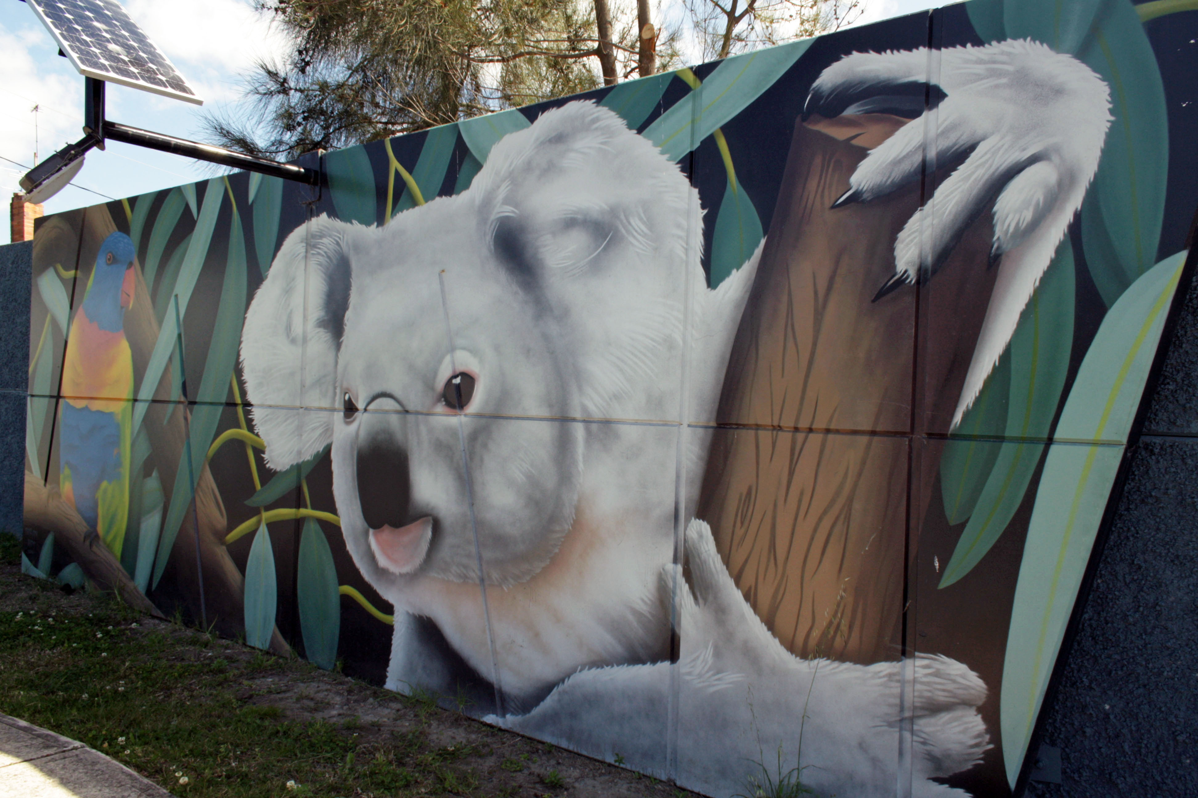 Wildlife by Urban Art Australia | Street Art NSW