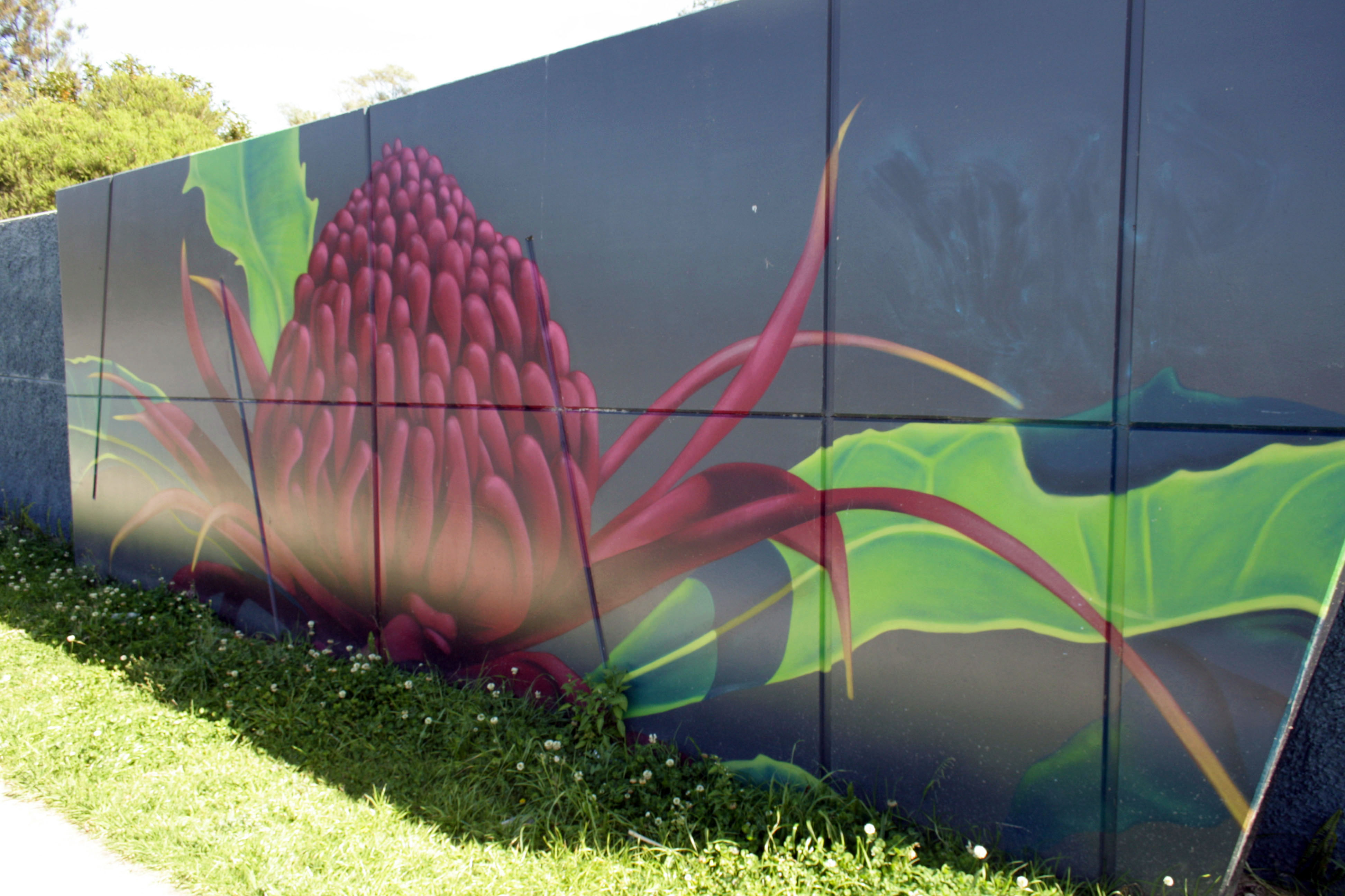 Waratah