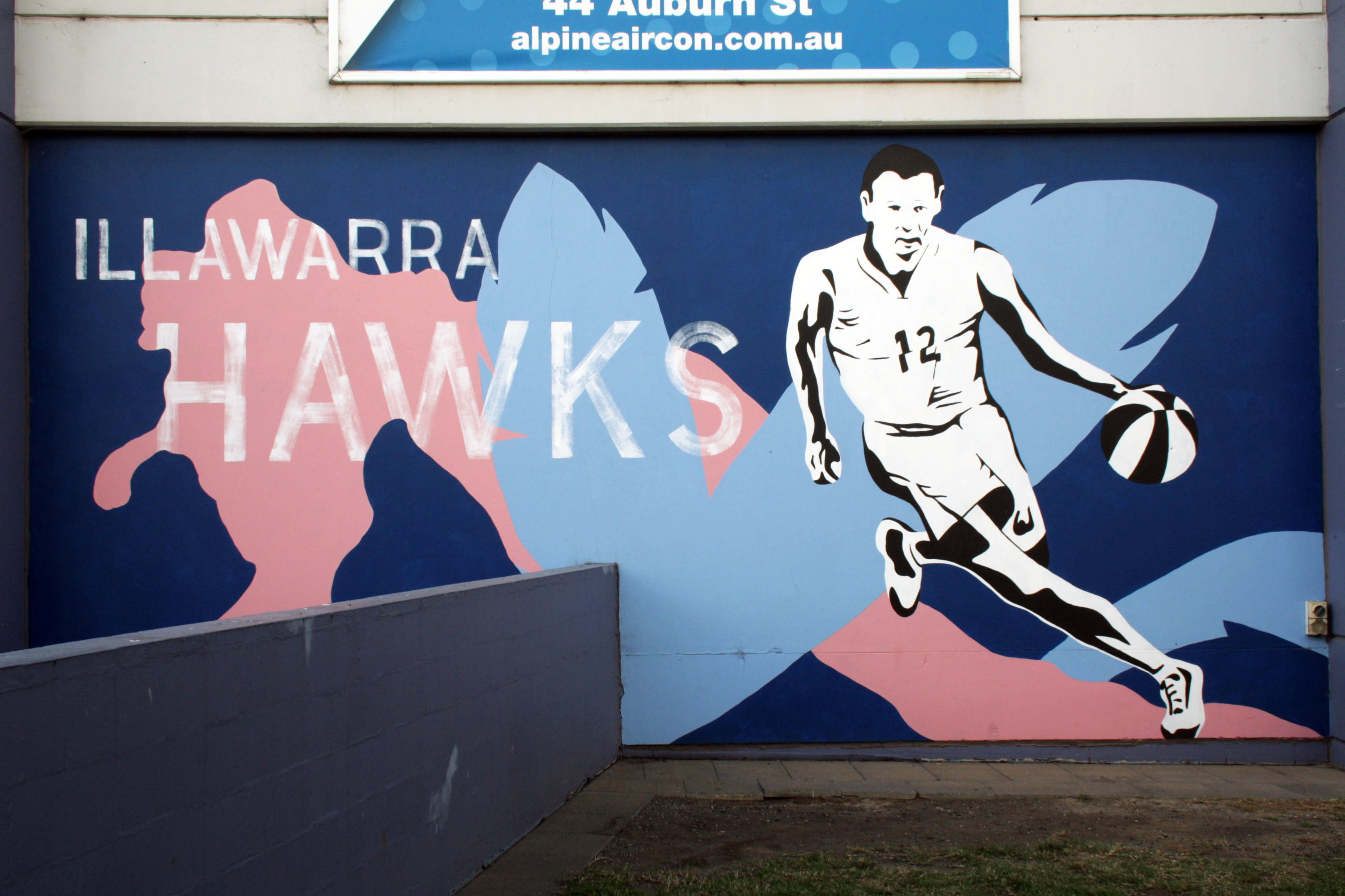 Illawarra Hawks
