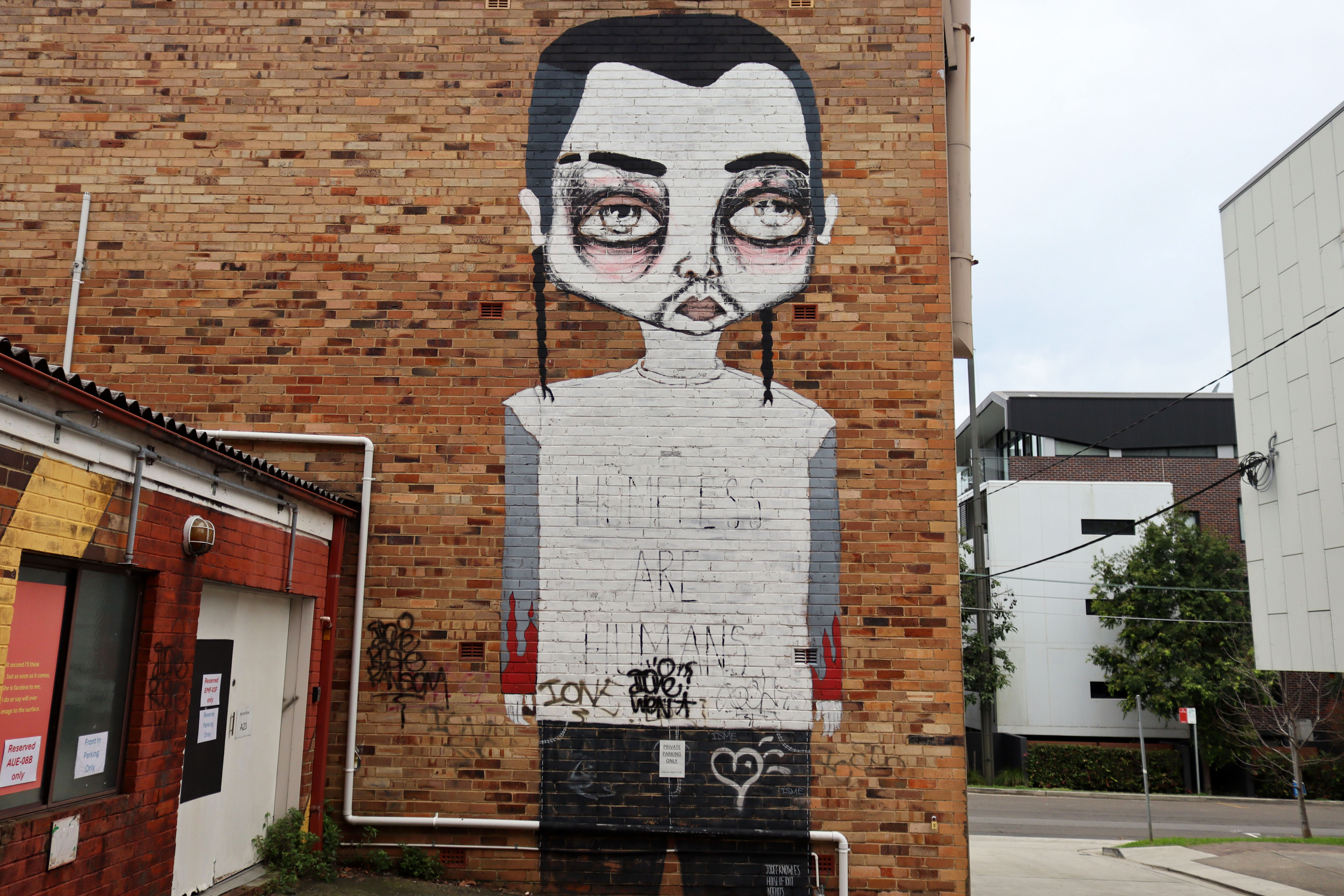 House of Riot by Jodee Knowles | Street Art NSW