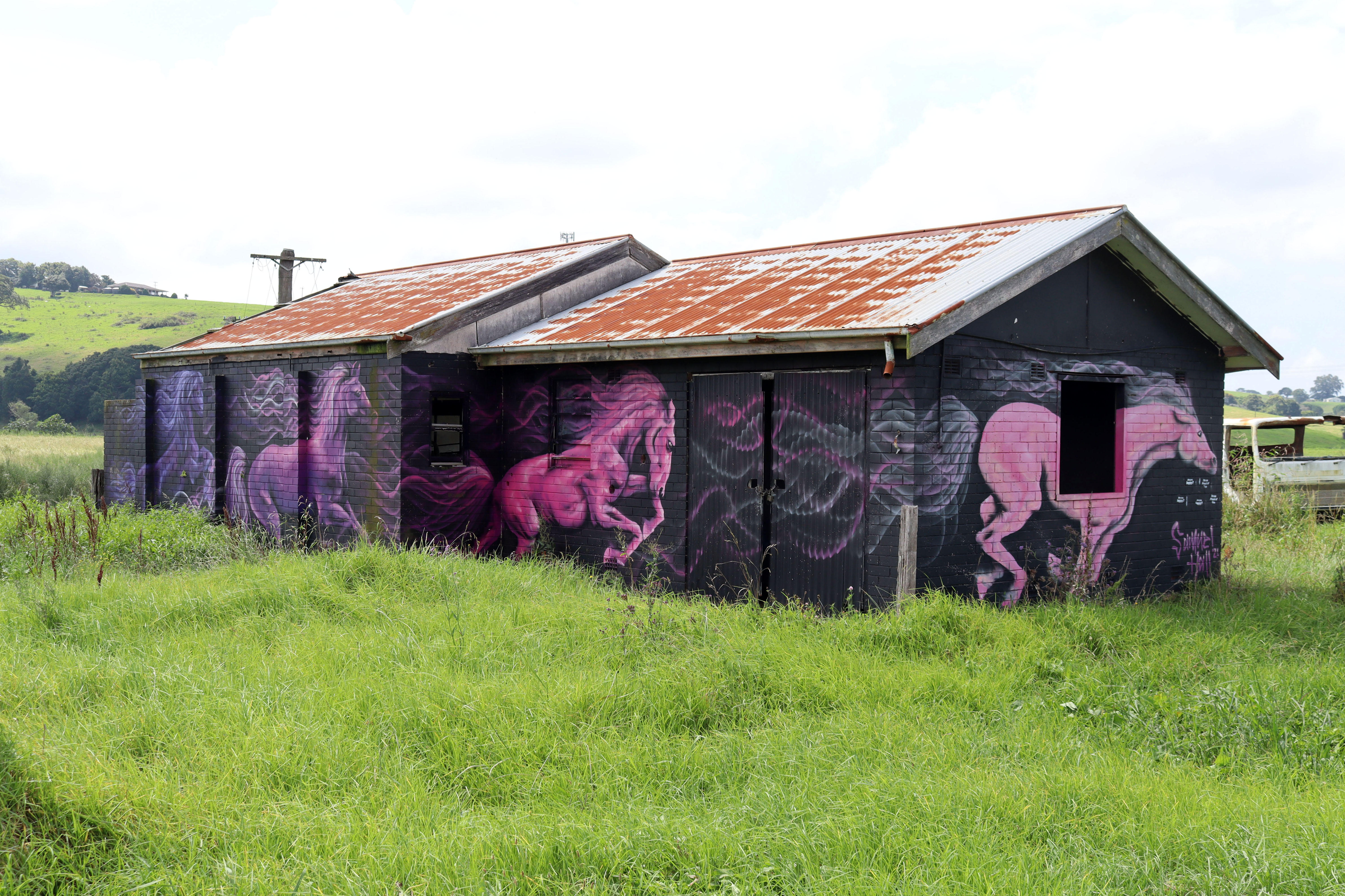 Let Your Spirit Run Free by Samuel Hall | Street Art NSW