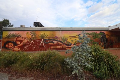 Cook Shops Mural (Dhani)