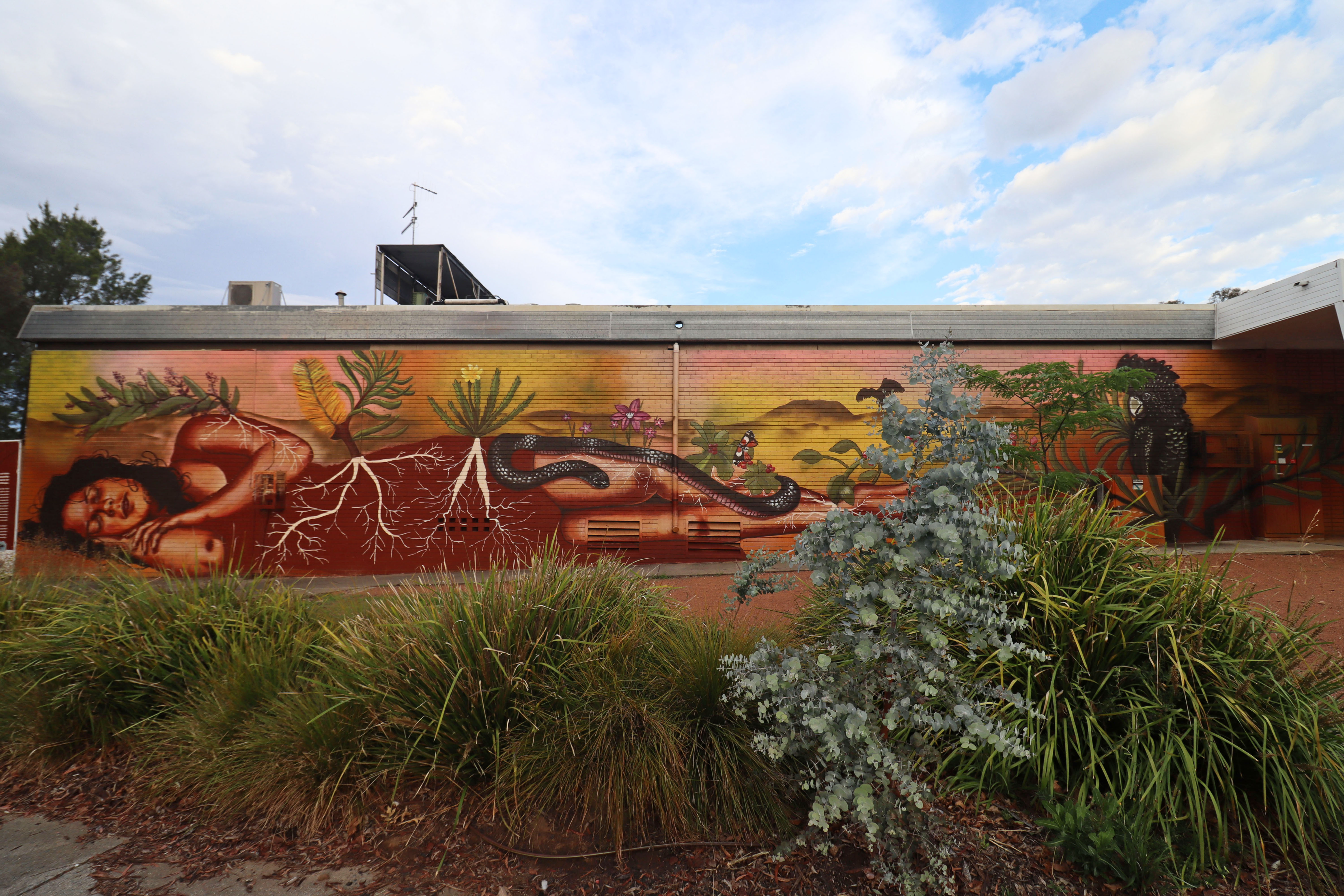 Cook Shops Mural (Dhani) by Faith Kerehona | Street Art NSW
