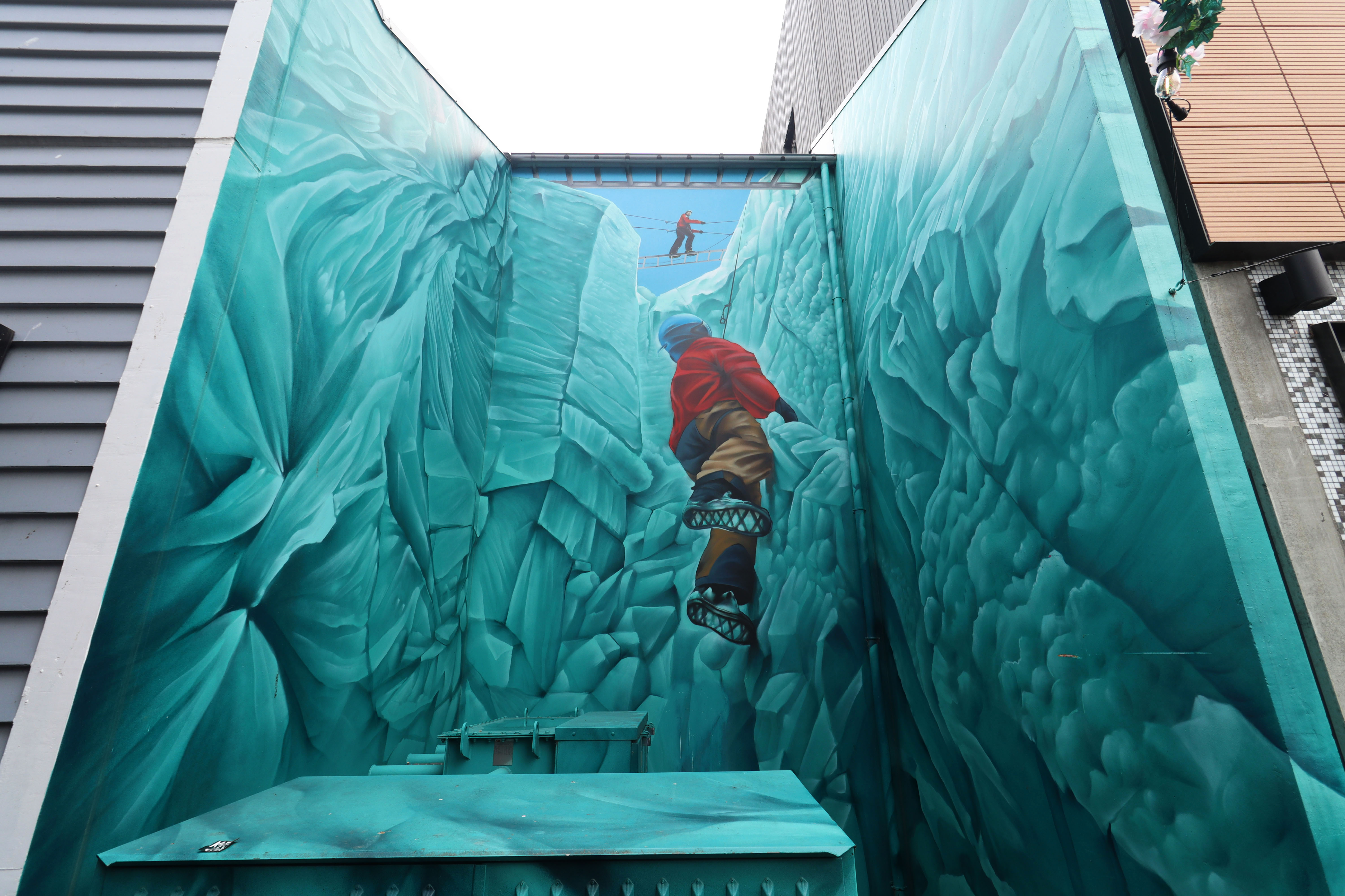 Crevasse by Dcypher | Street Art NSW