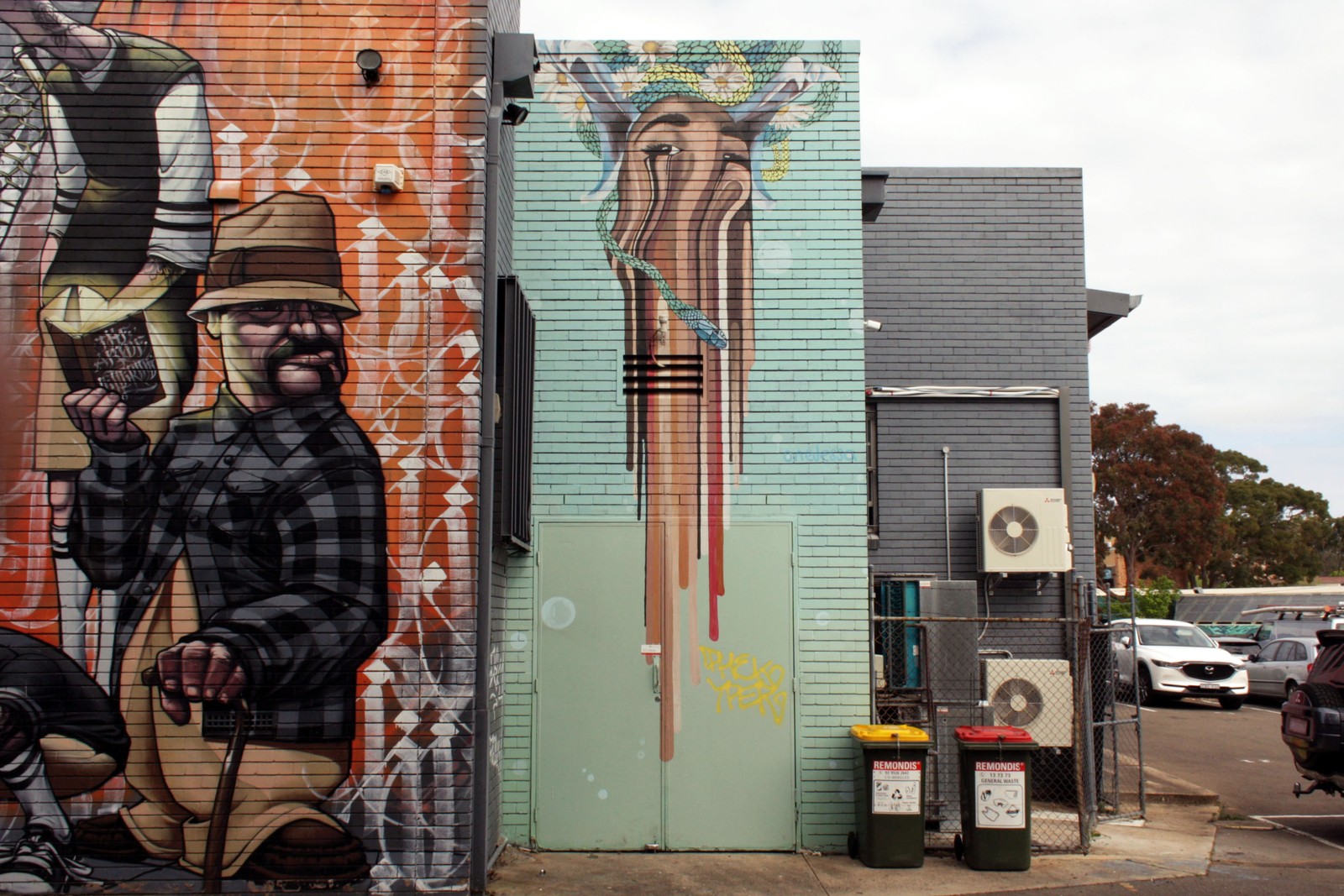 Untitled by Onejessa | Street Art NSW