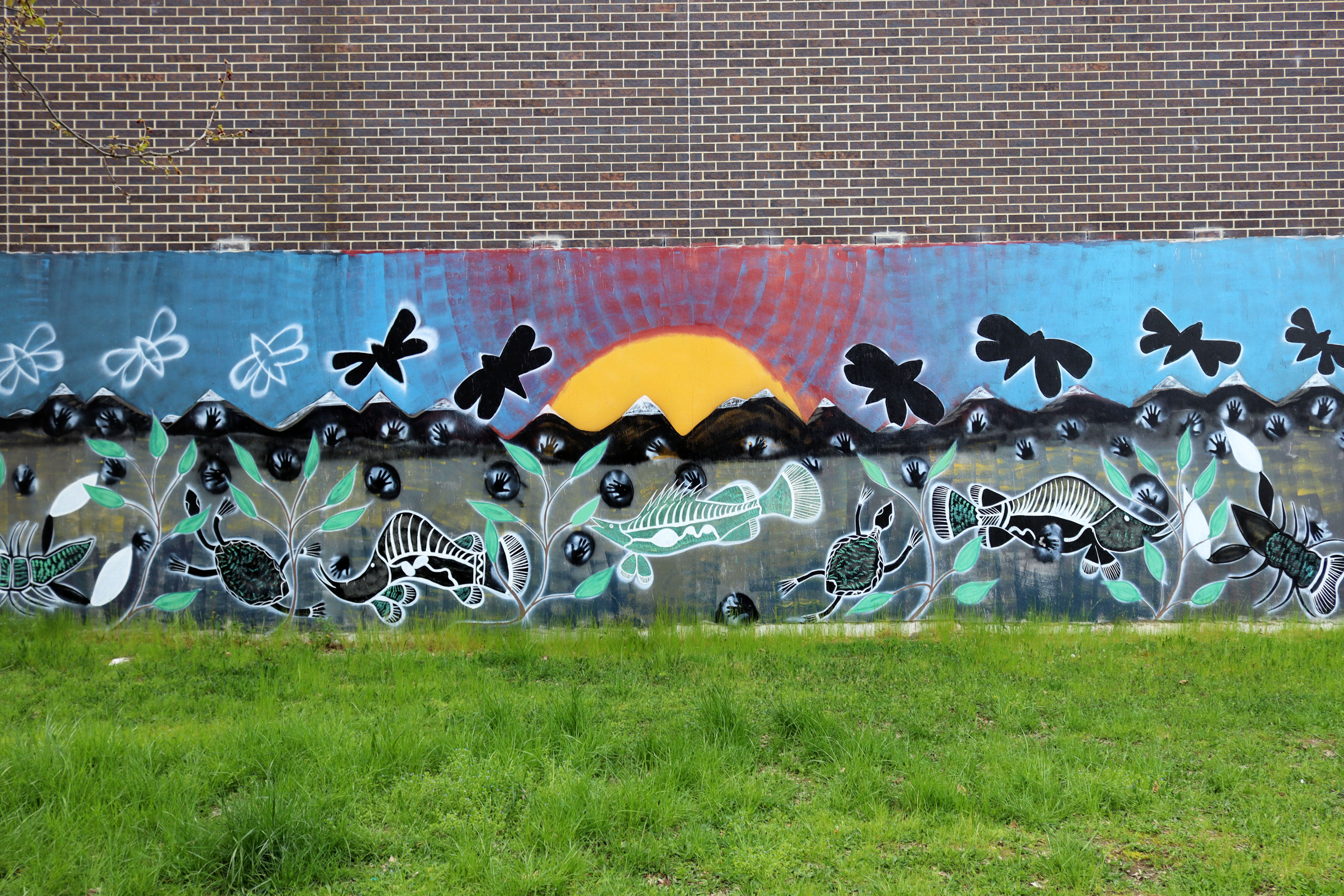 Untitled | Street Art NSW