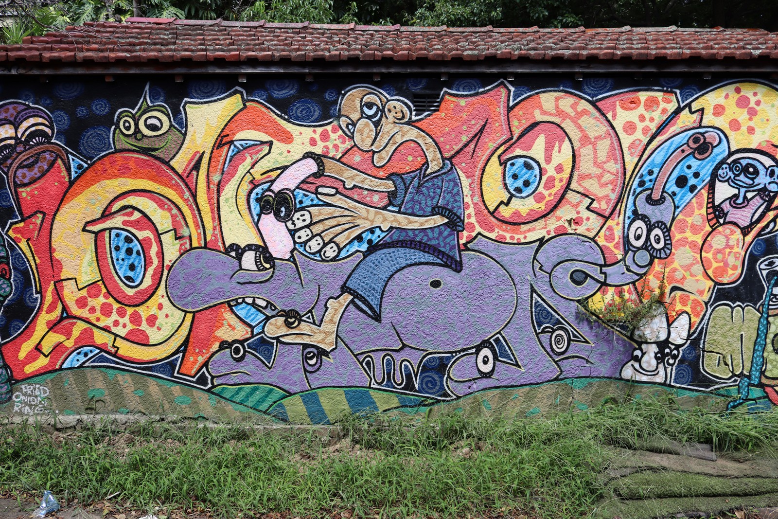 Untitled by Fried Onion Ring | Street Art NSW