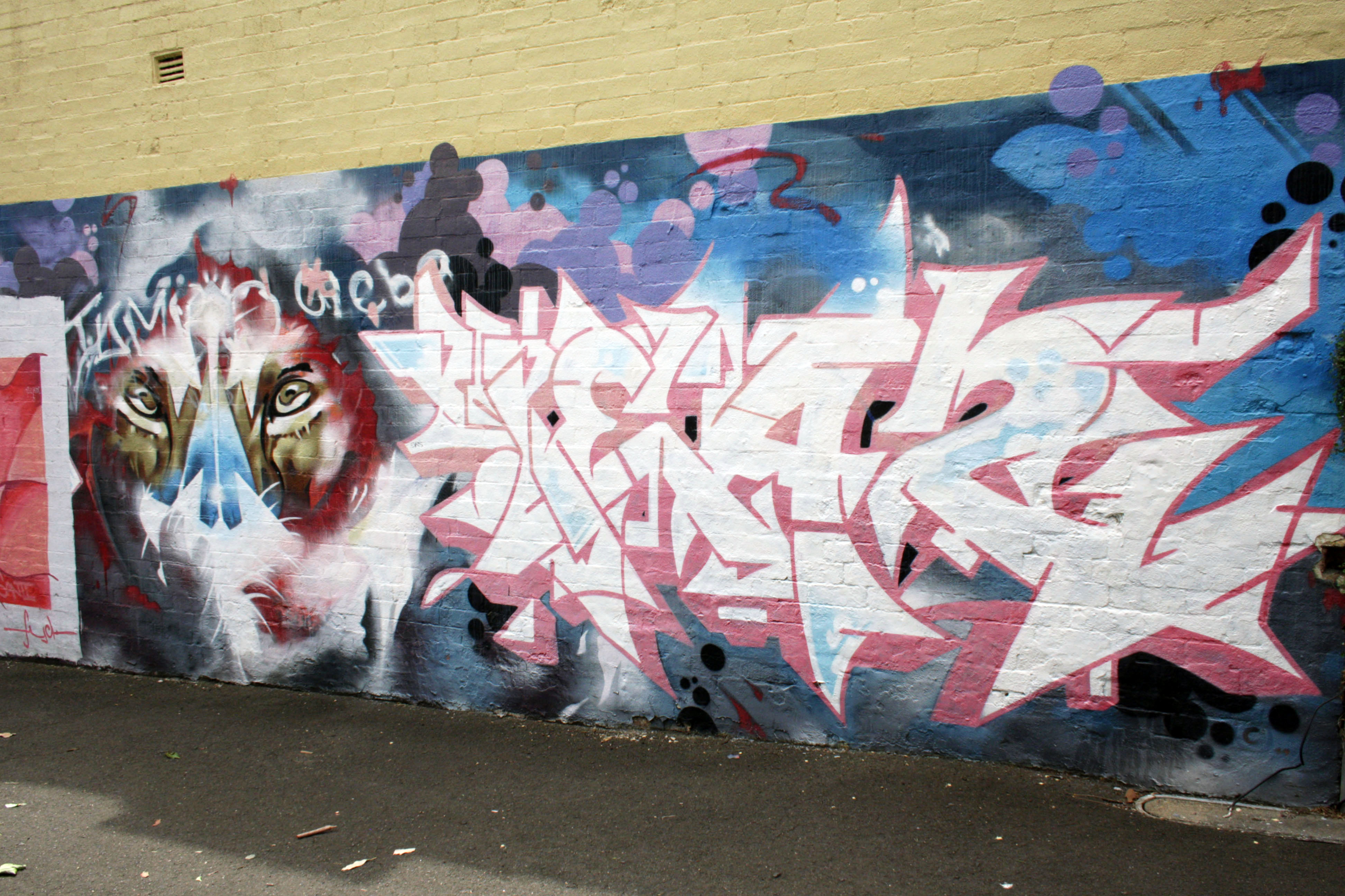 Untitled by Teazer | Street Art NSW