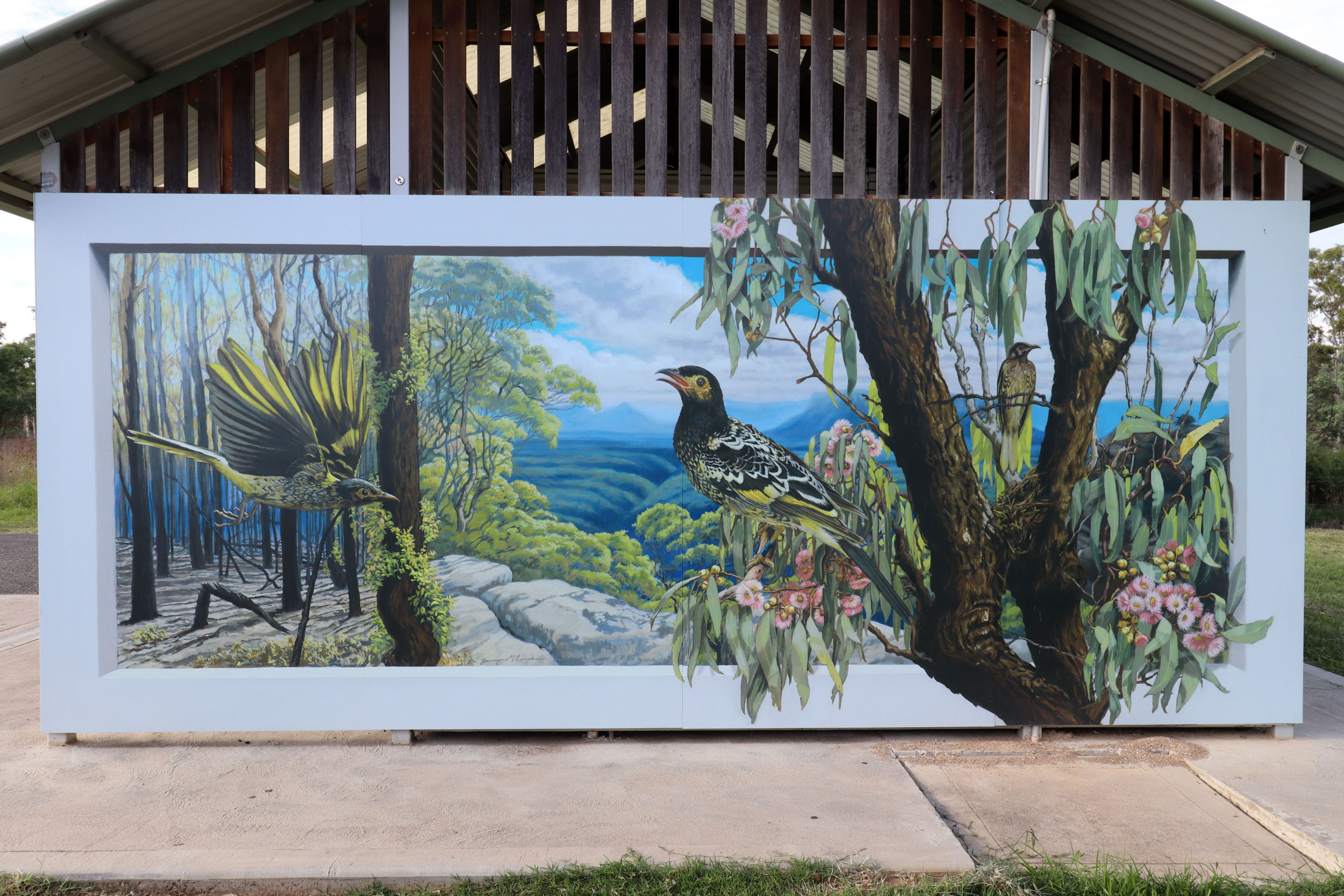 Regent Honeyeater by Jenny McCracken | Street Art NSW