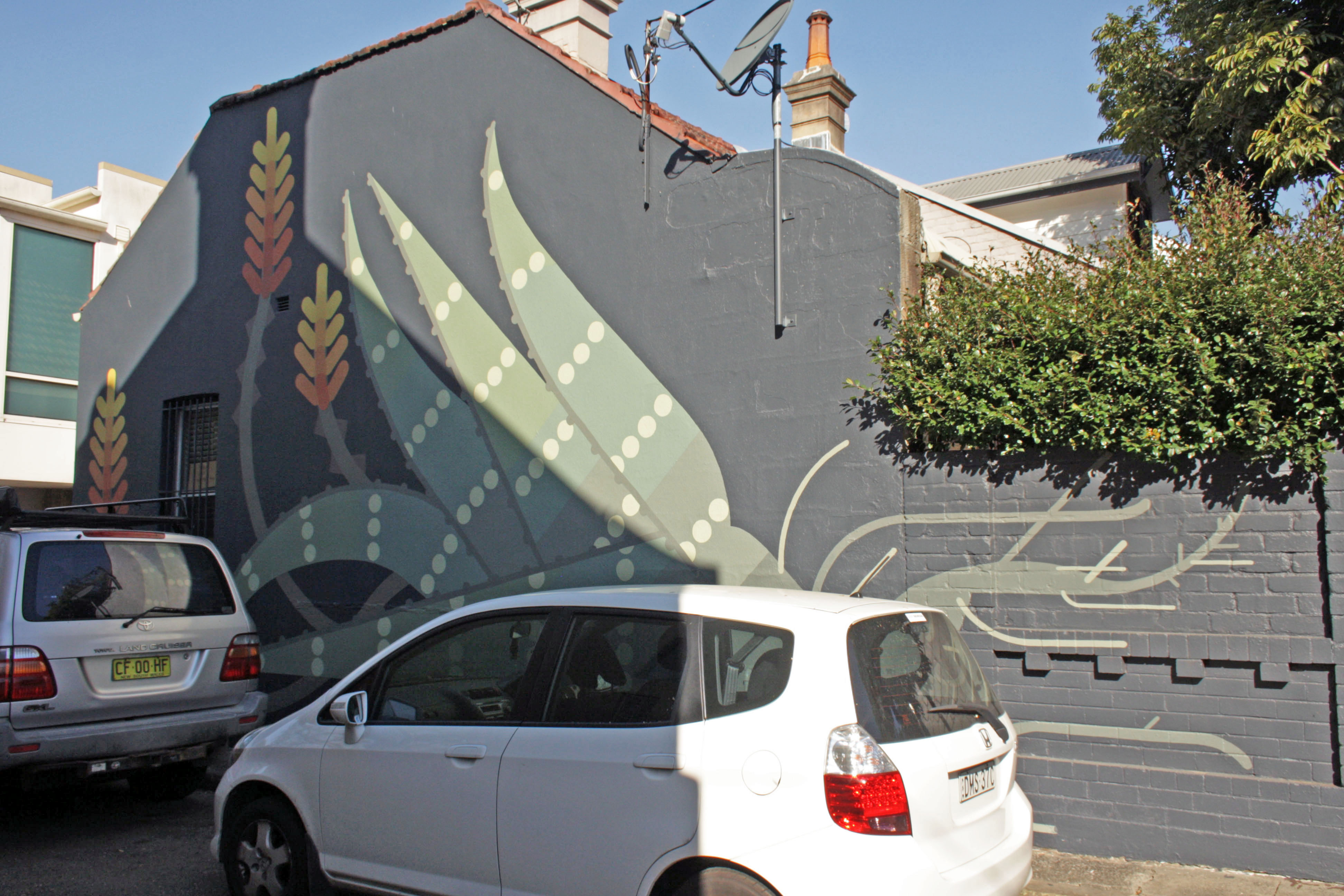 Aloe by Amok Island | Street Art NSW