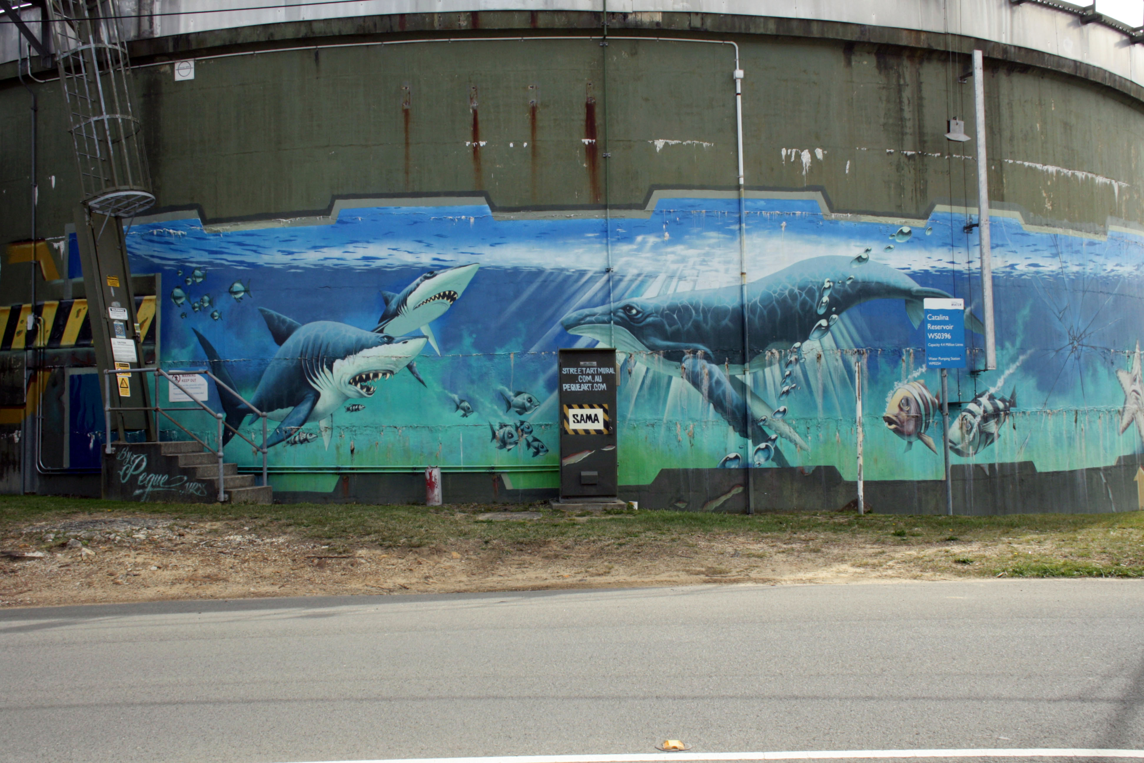 Katoomba Water Tank Art