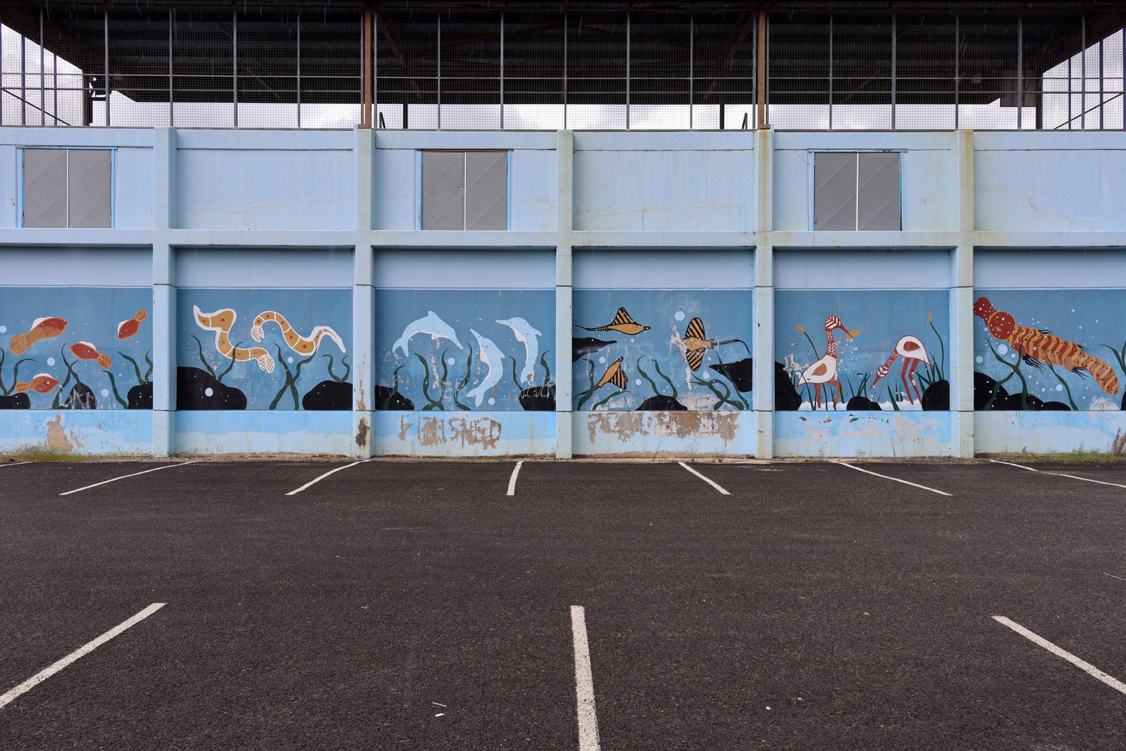 Untitled | Street Art NSW