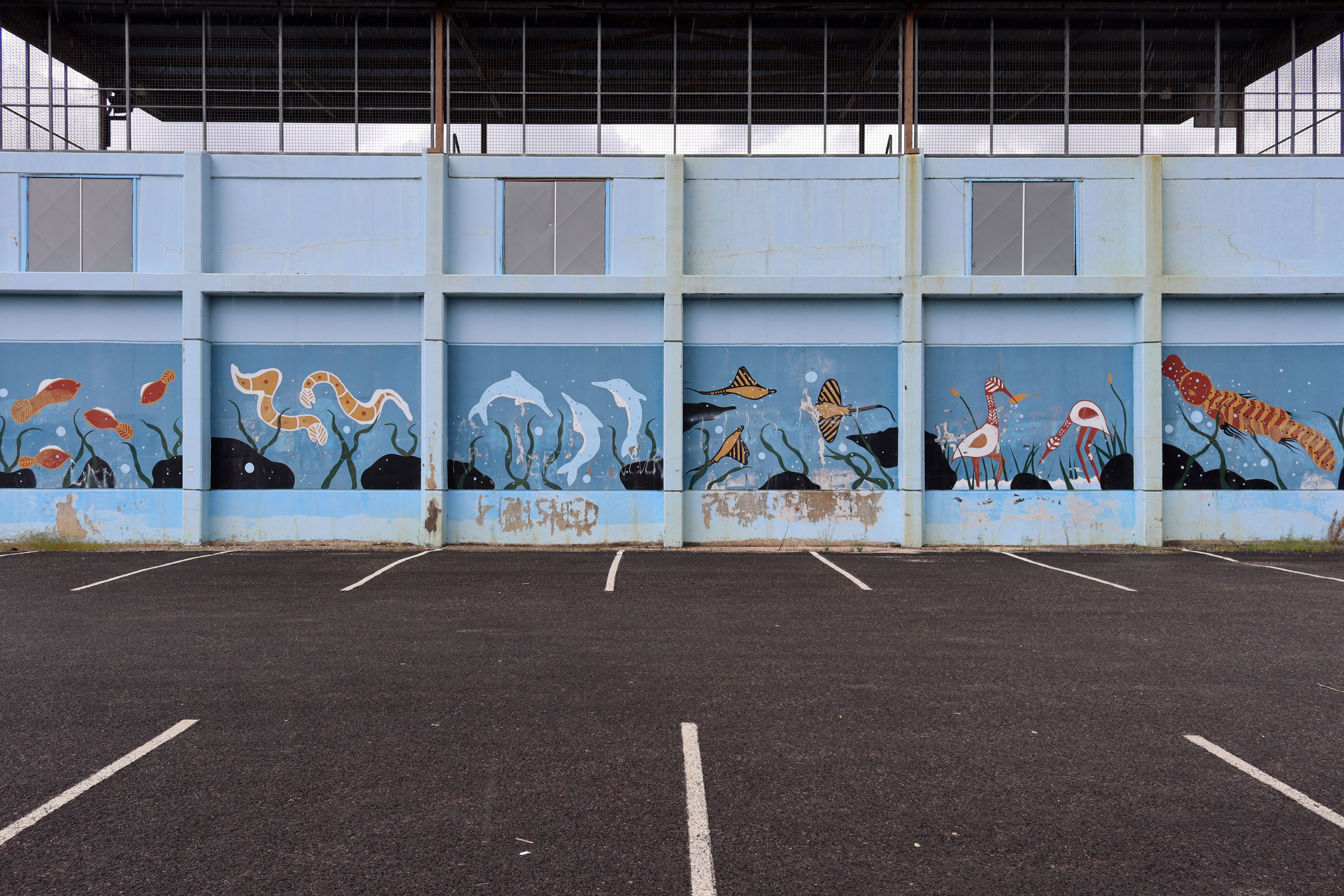 Untitled | Street Art NSW