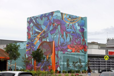 Blacktown's Backyards