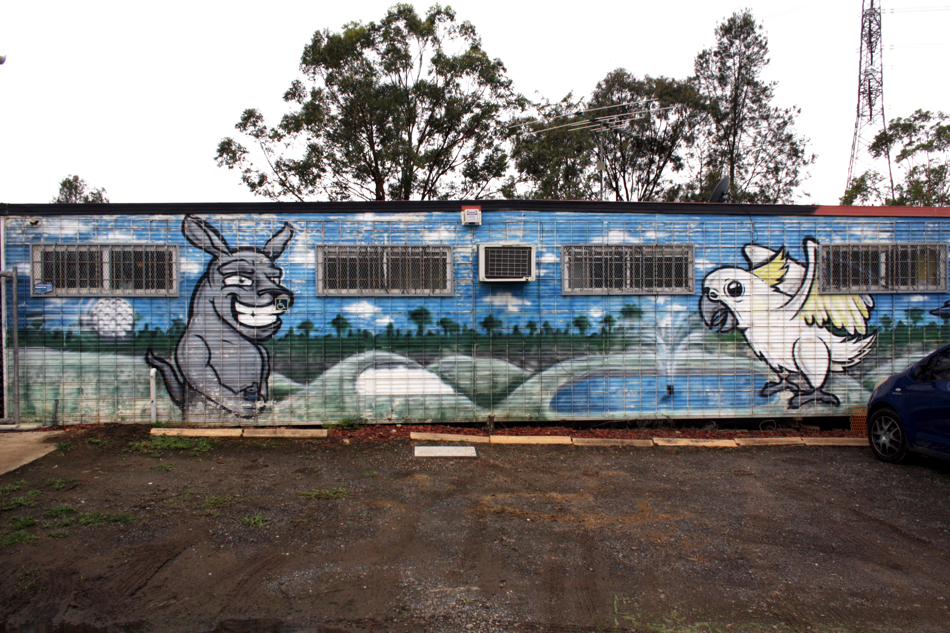 Sacred Ground | Street Art NSW