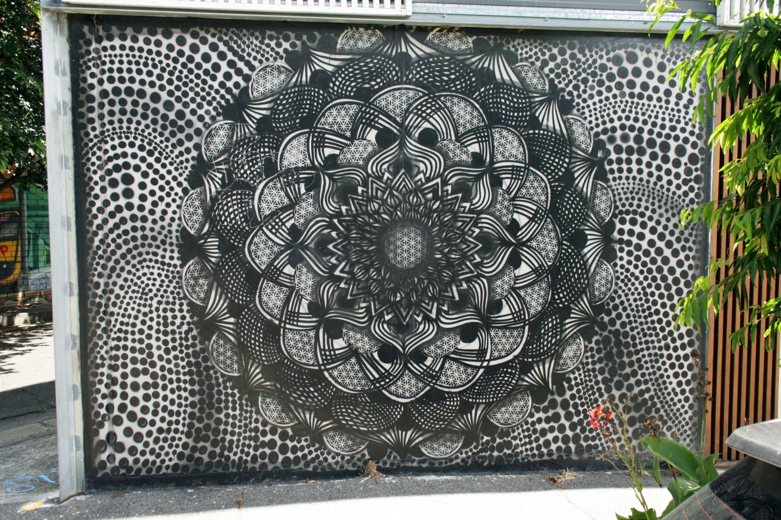 Mandala | Street Art NSW